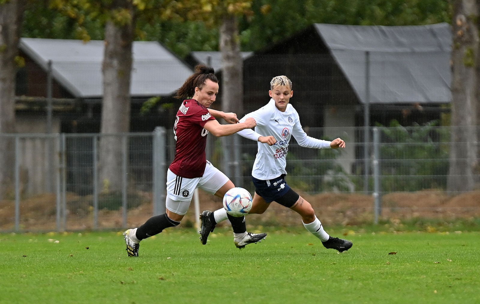 PJml_20231014_234824_web