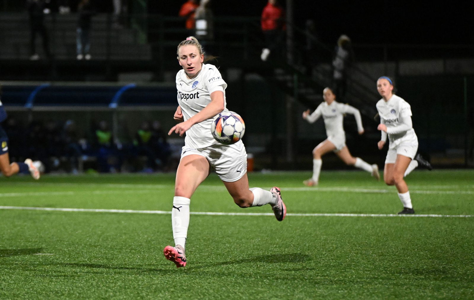 PJml_20250201_313008_web