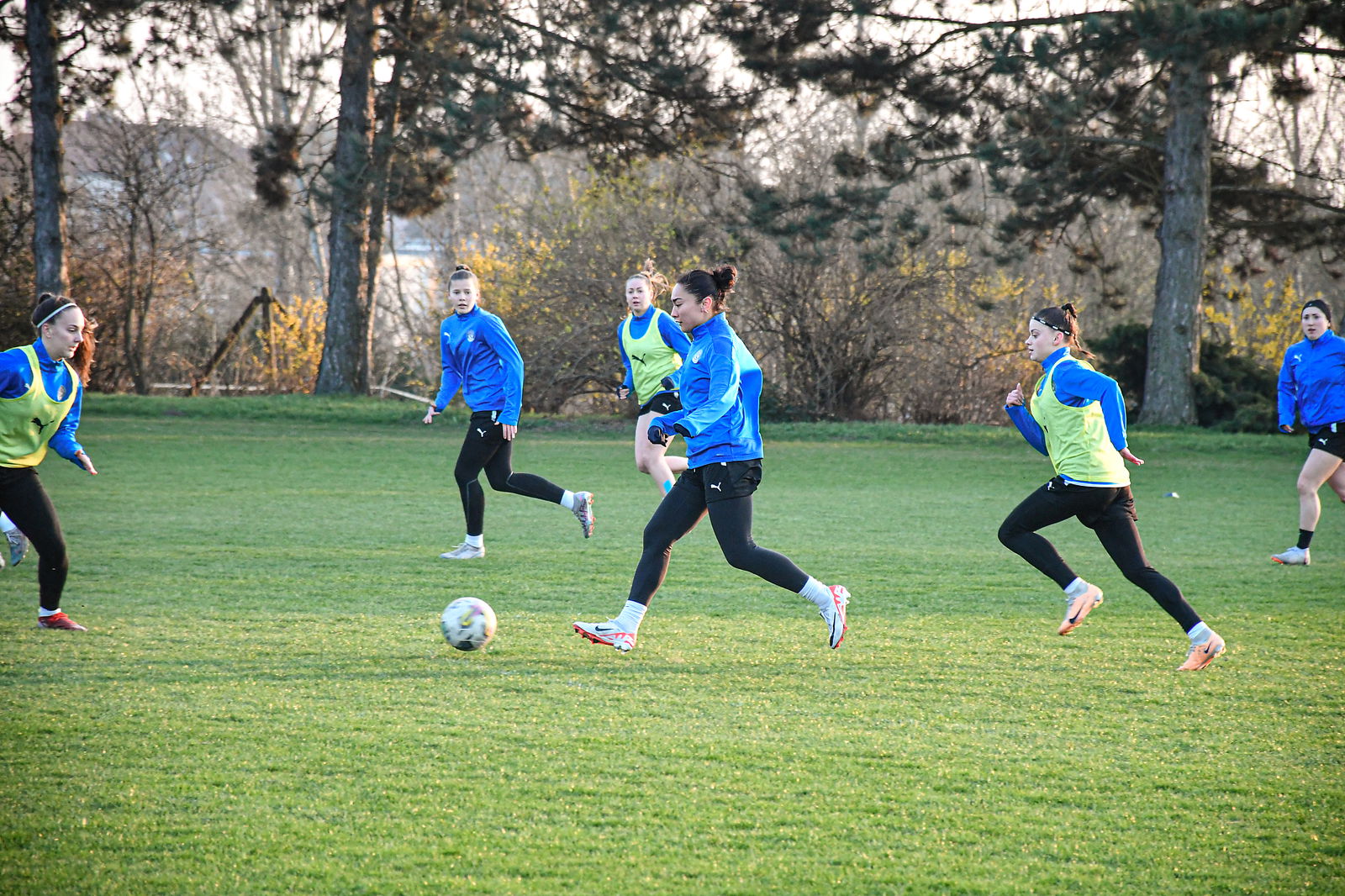 DSC_0439_20240307_pred_jarem_1920