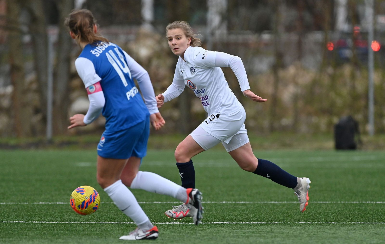 PJml_20240323_274572_web