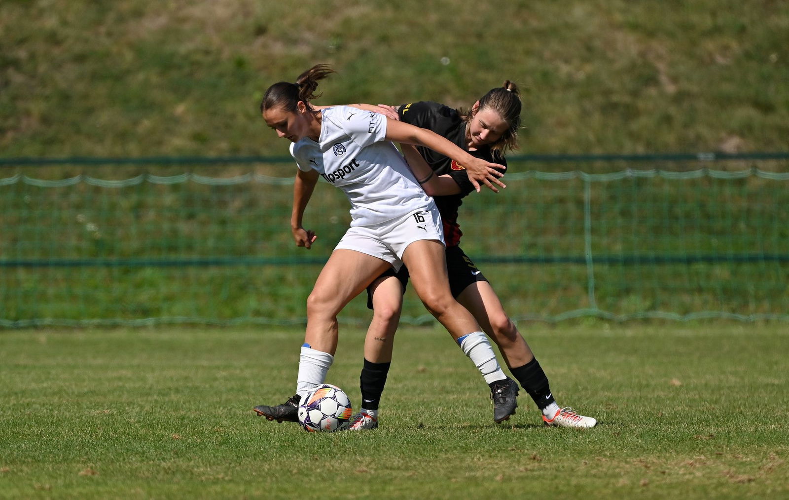 PJml_20240901_296157_web