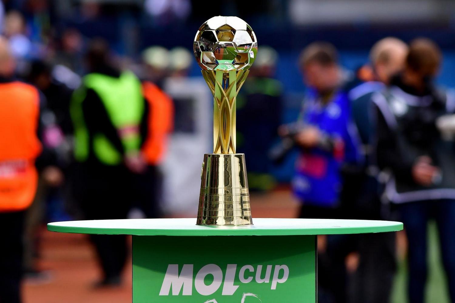 molcup