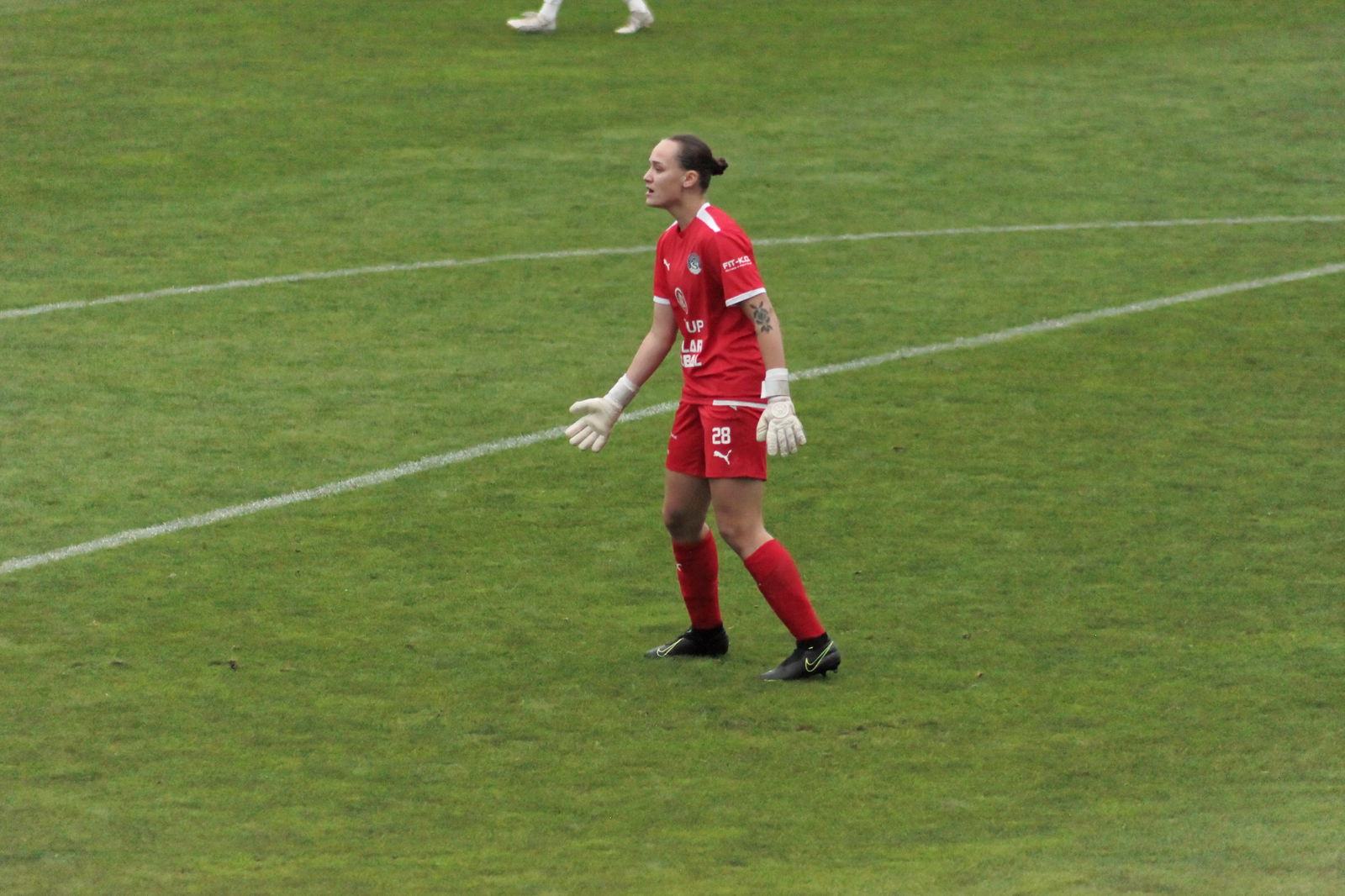 IMG_6204_DxO_2000 - kopie