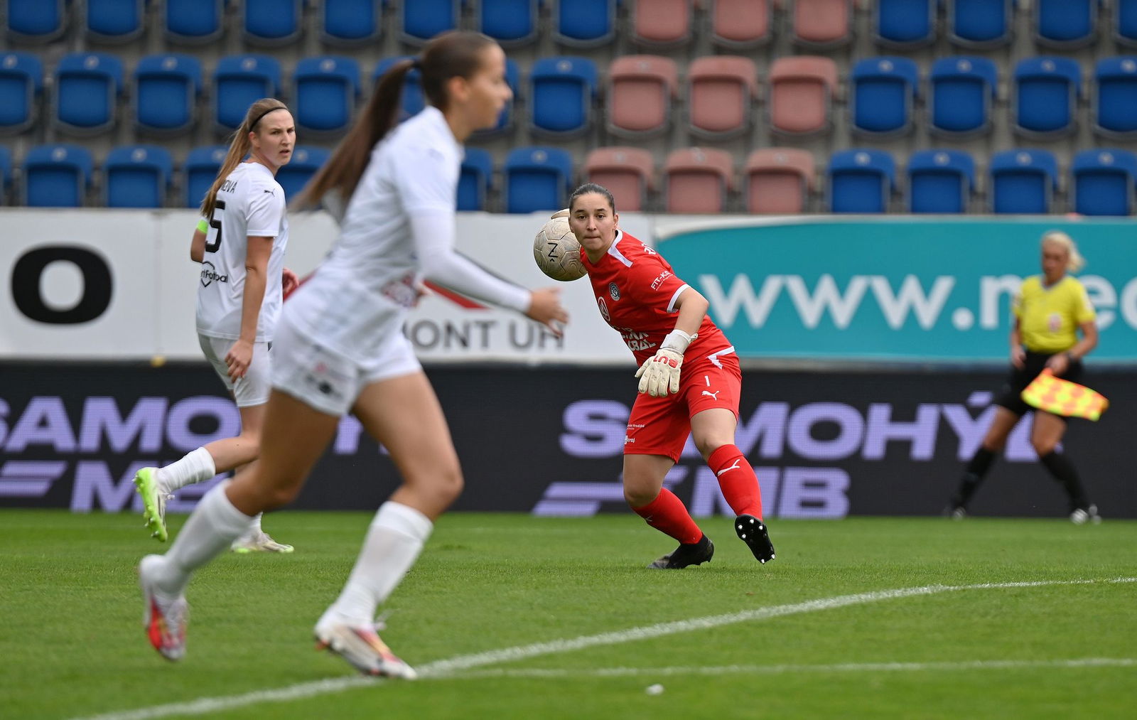 PJml_20231008_230876_web