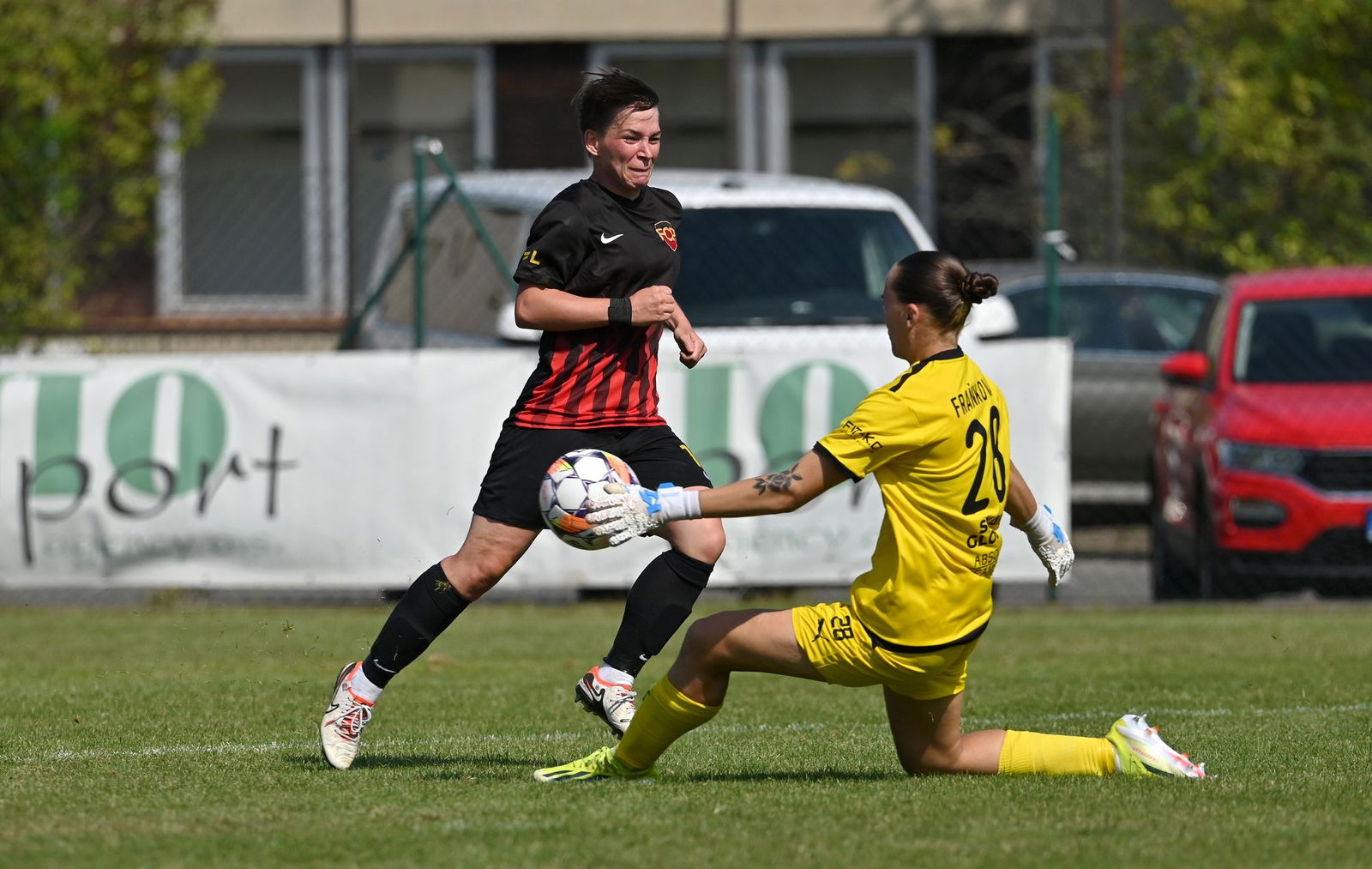 PJml_20240901_296144_web