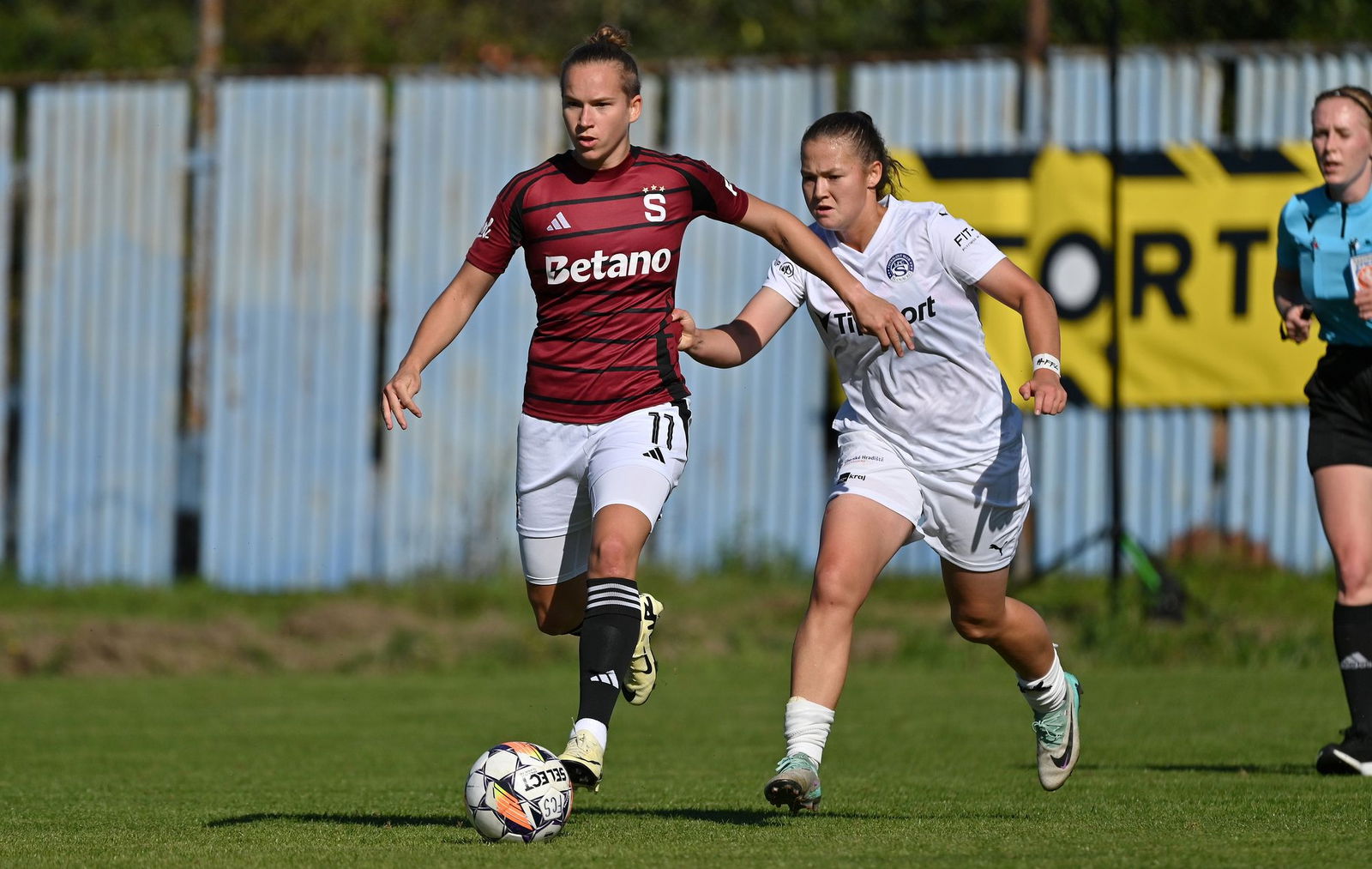 PJml_20240922_296725_web