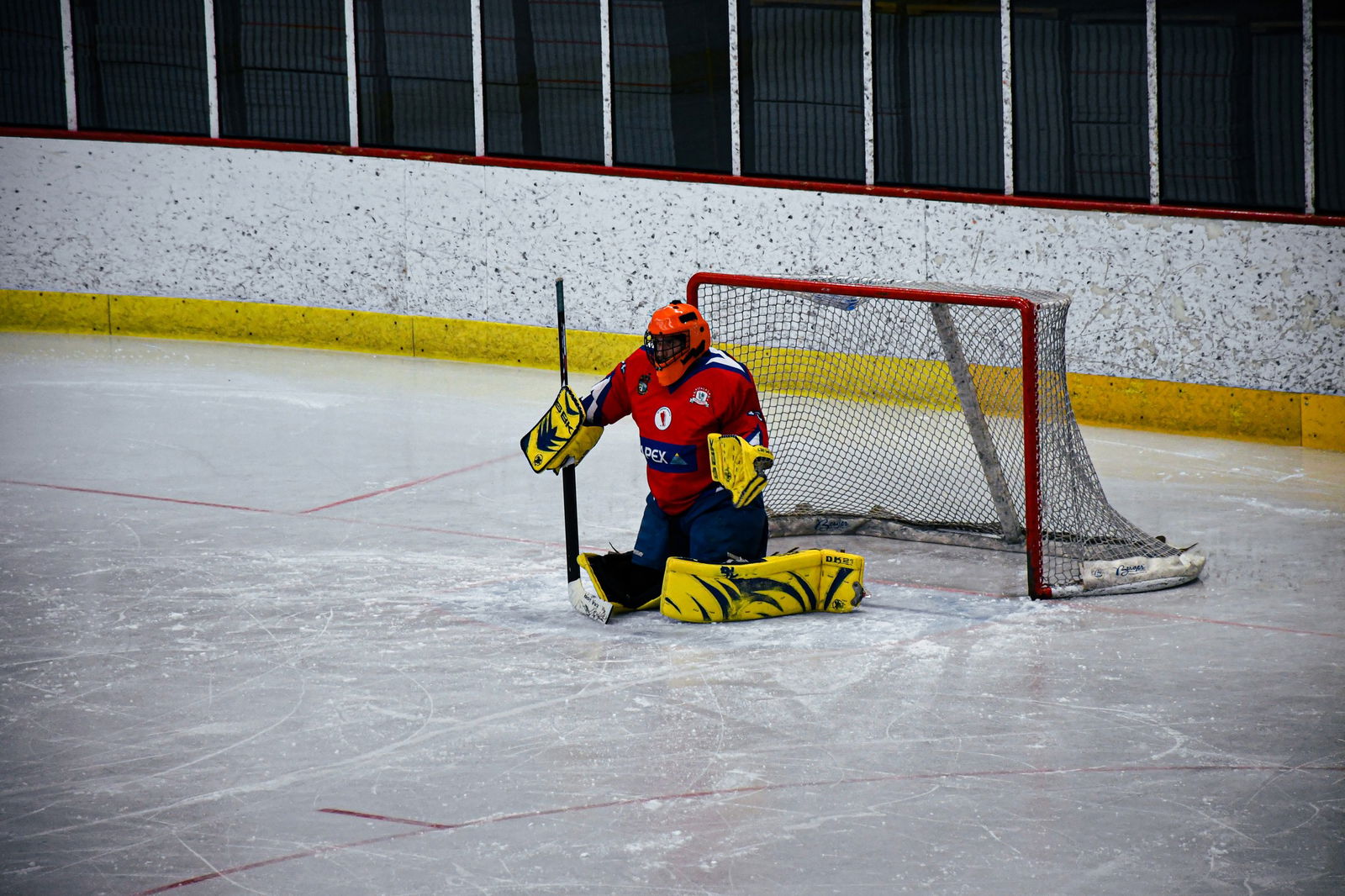 336886519_562964089145563_3323793323197313048_n