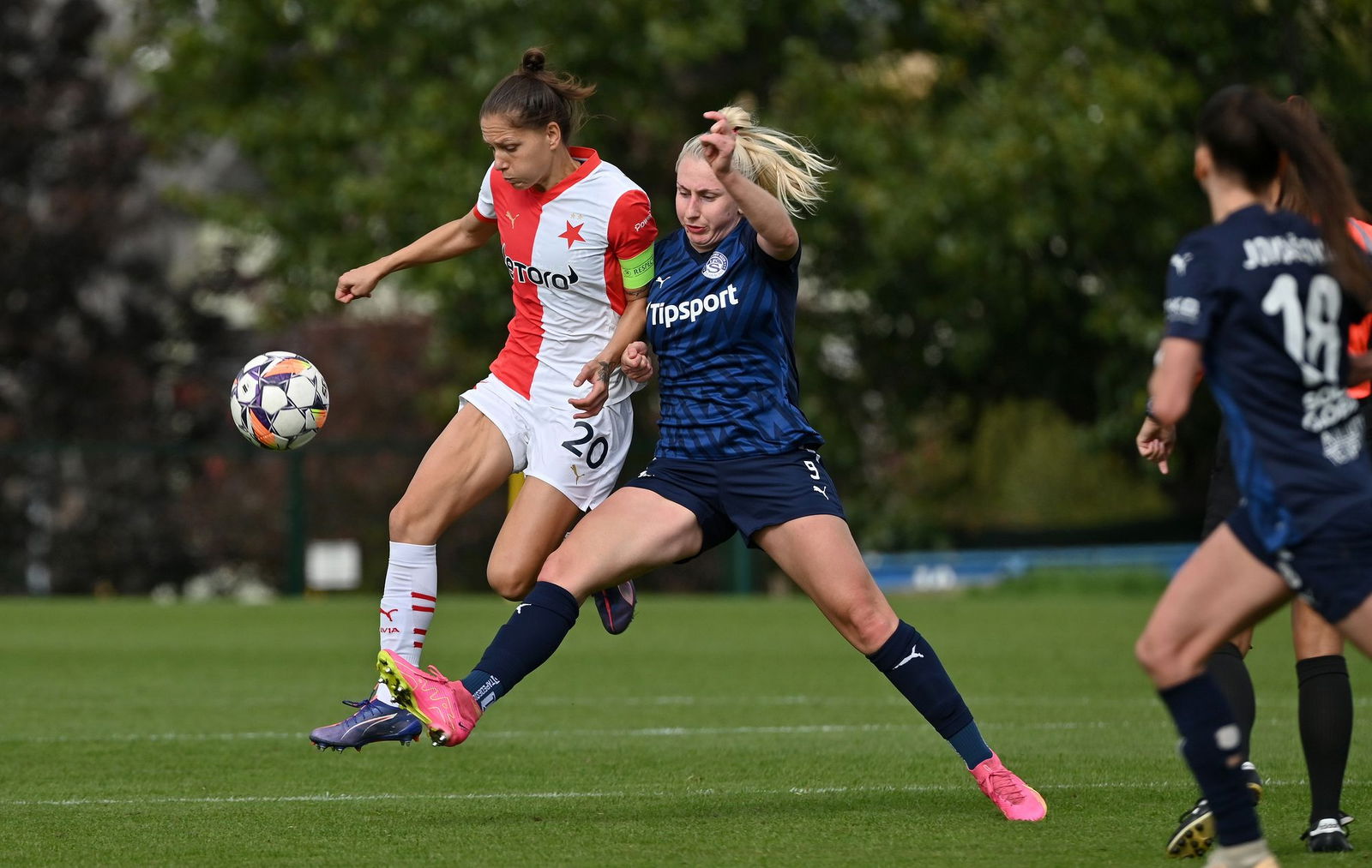 PJml_20240929_297114_web