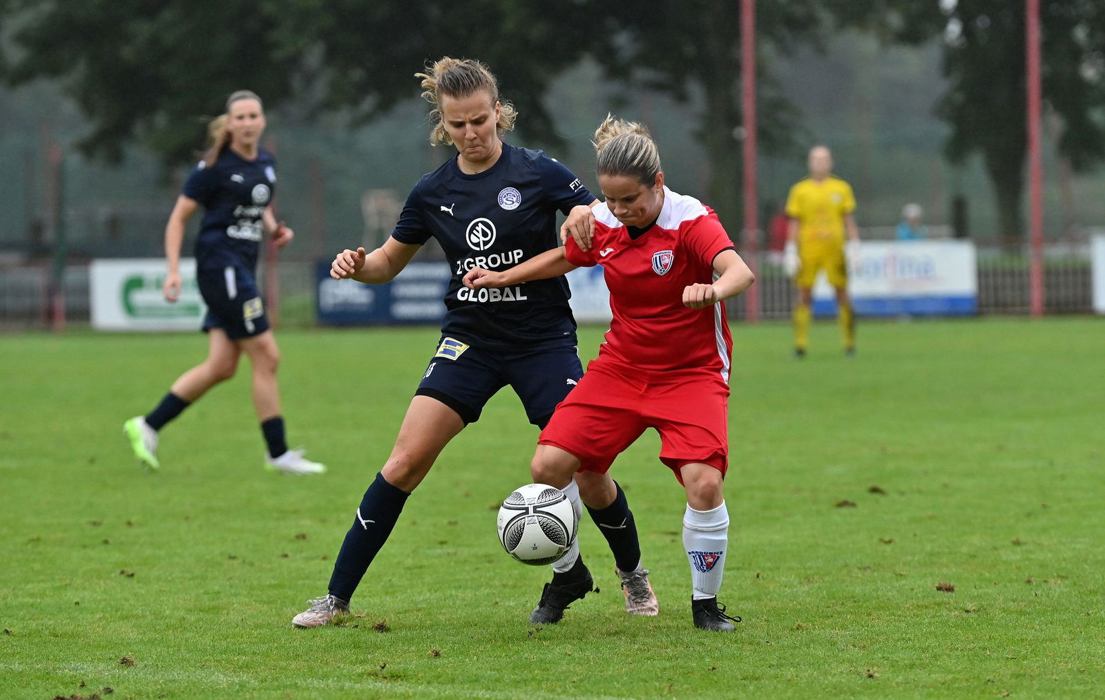 PJml_20230827_205680_web