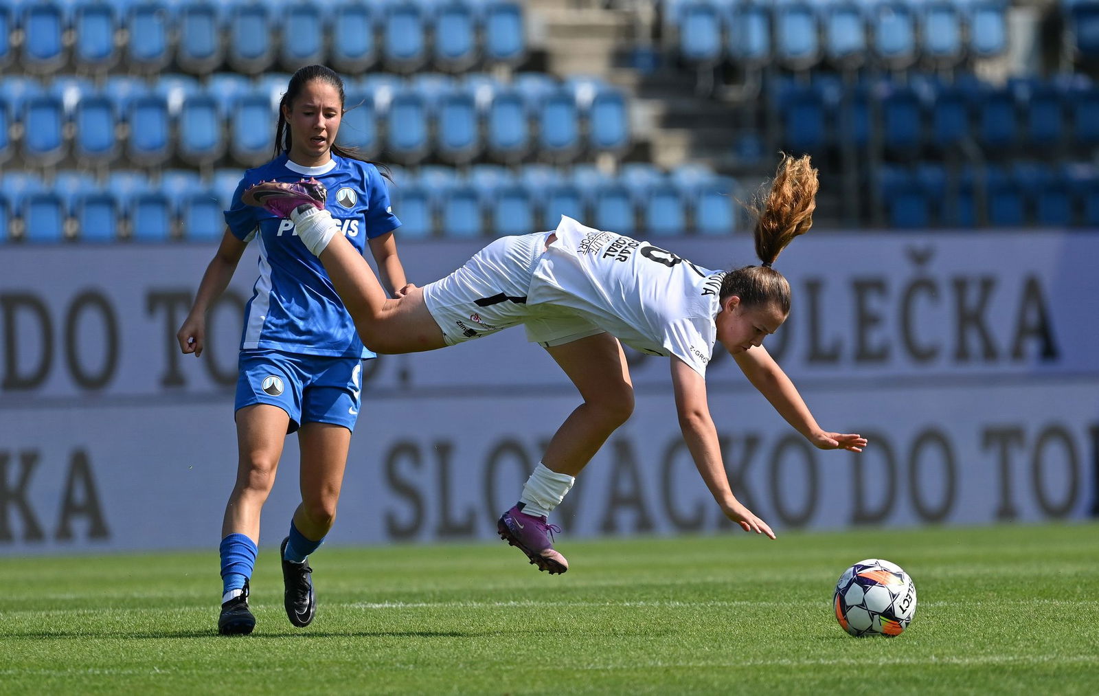 PJml_20240825_295281_web