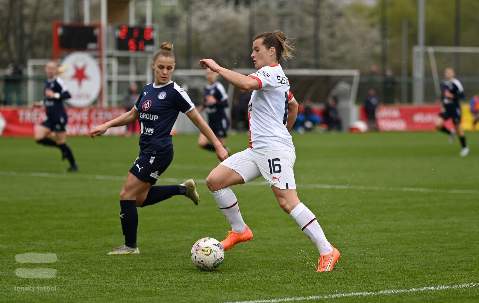 PJml_20230415_115356_web