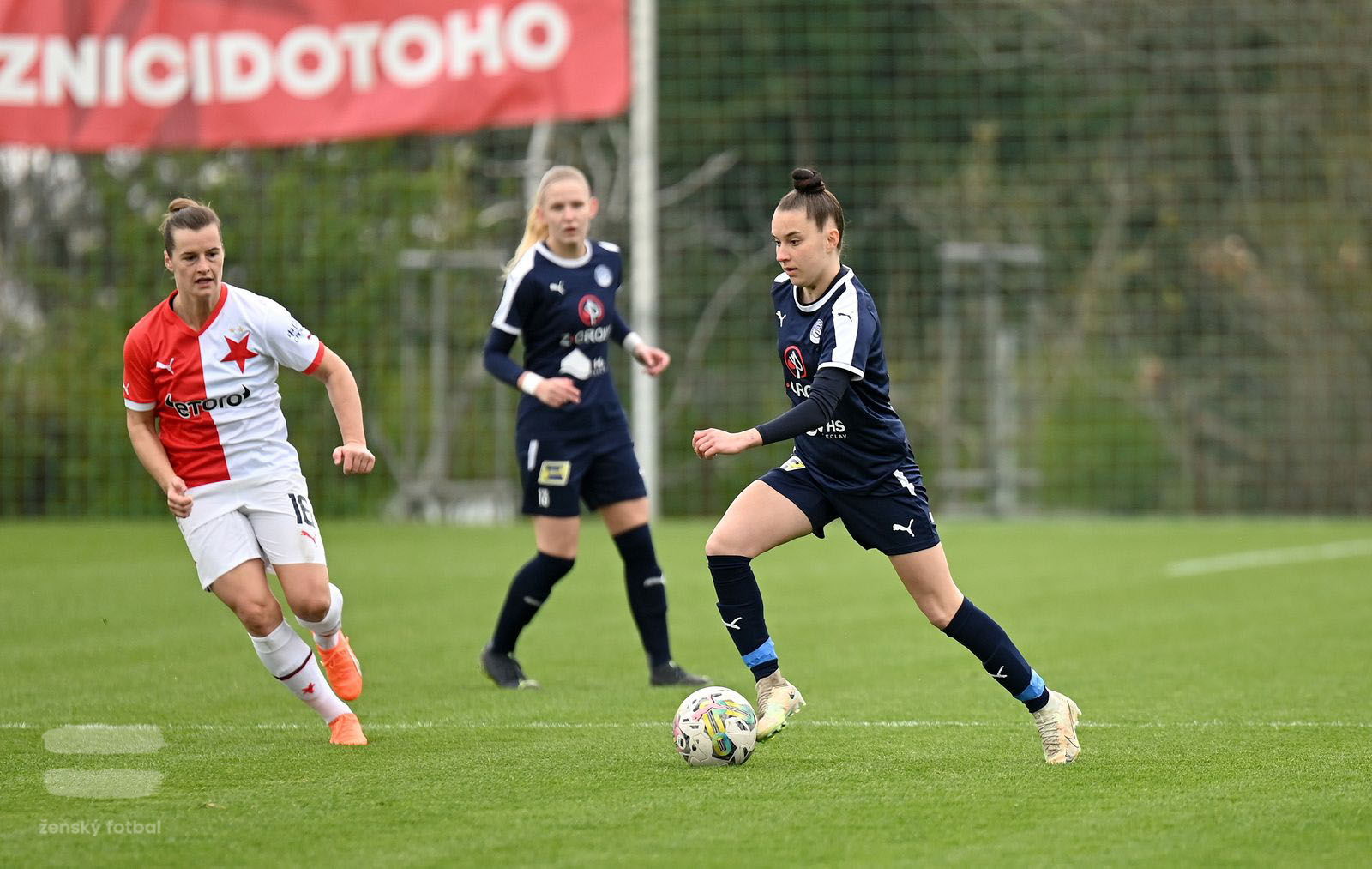 PJml_20230415_115030_web