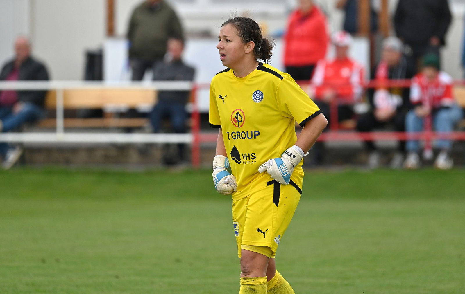 PJml_20240929_297172_web