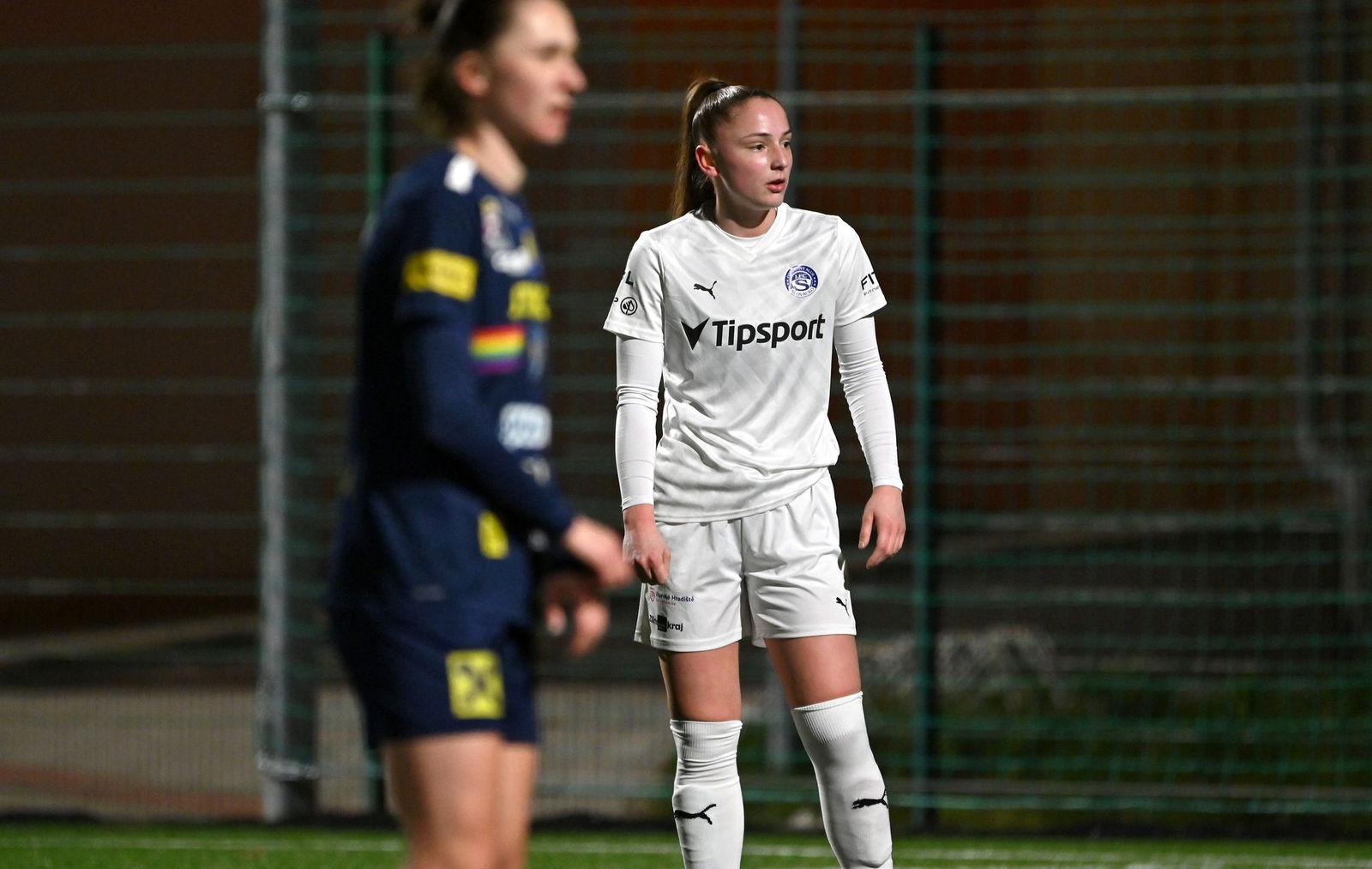 PJml_20250201_313109_web