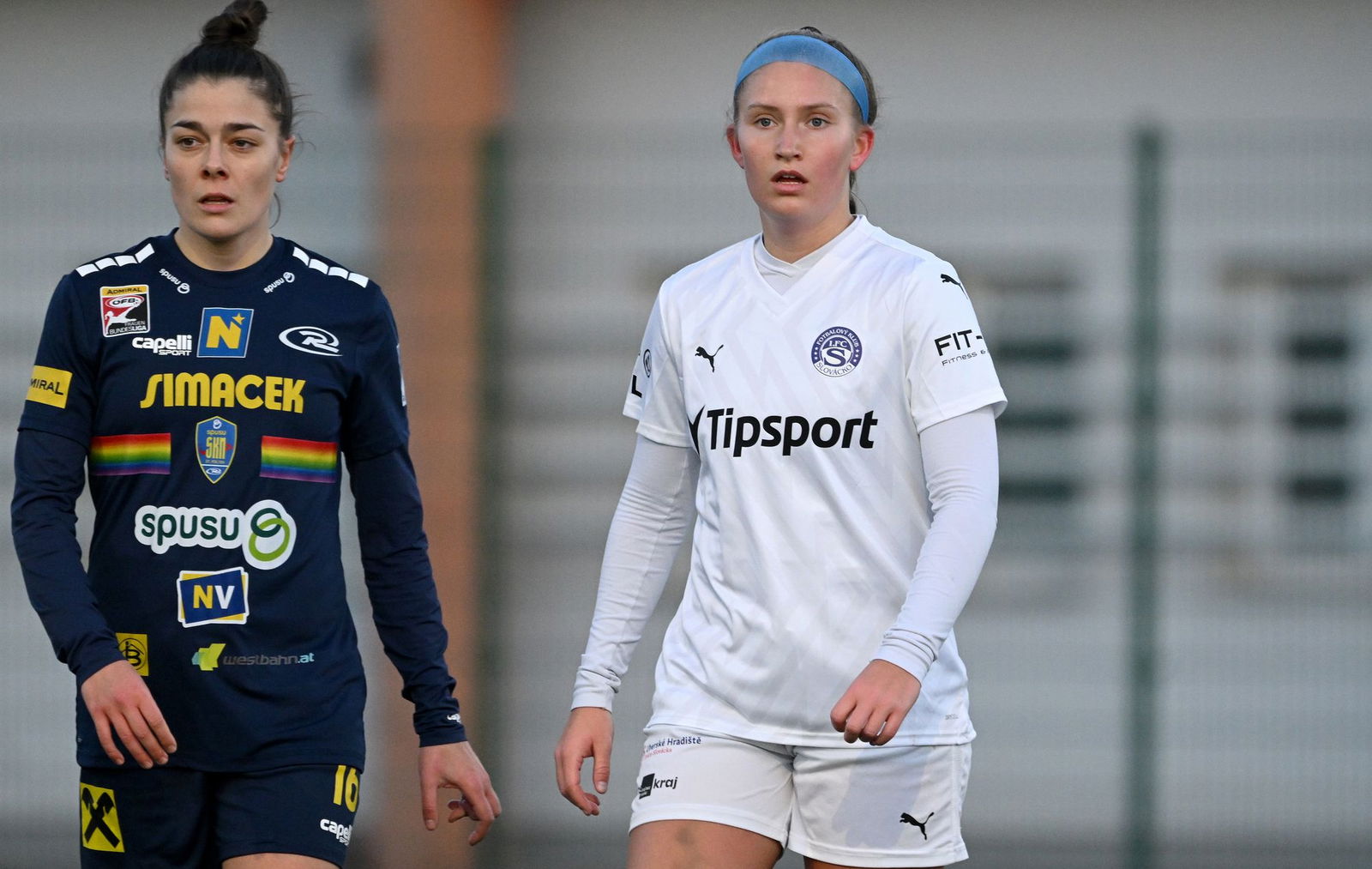 PJml_20250201_312913_web