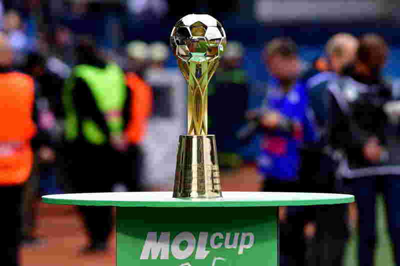 molcup