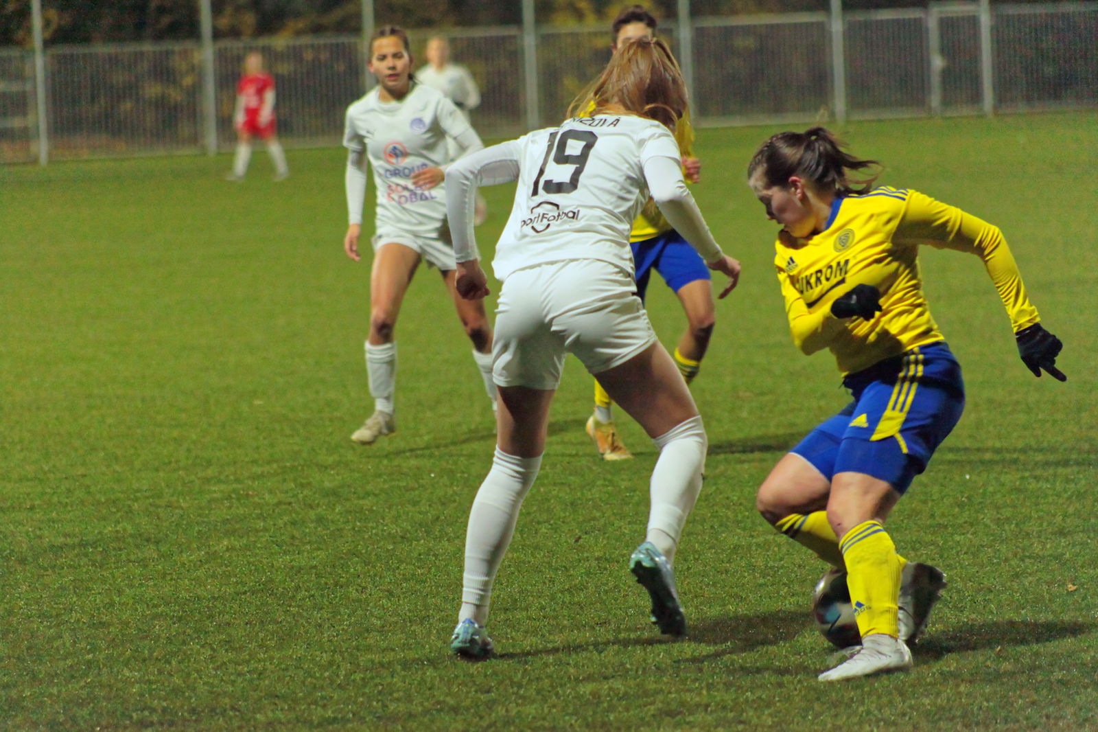 IMG_8456_20231124_zlnslo_2000