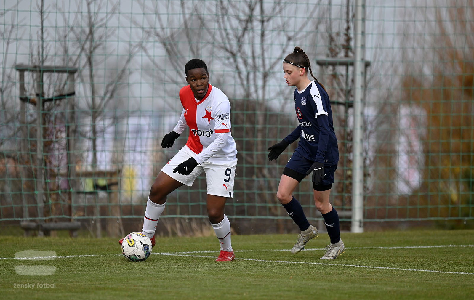 PJml_20230311_090058