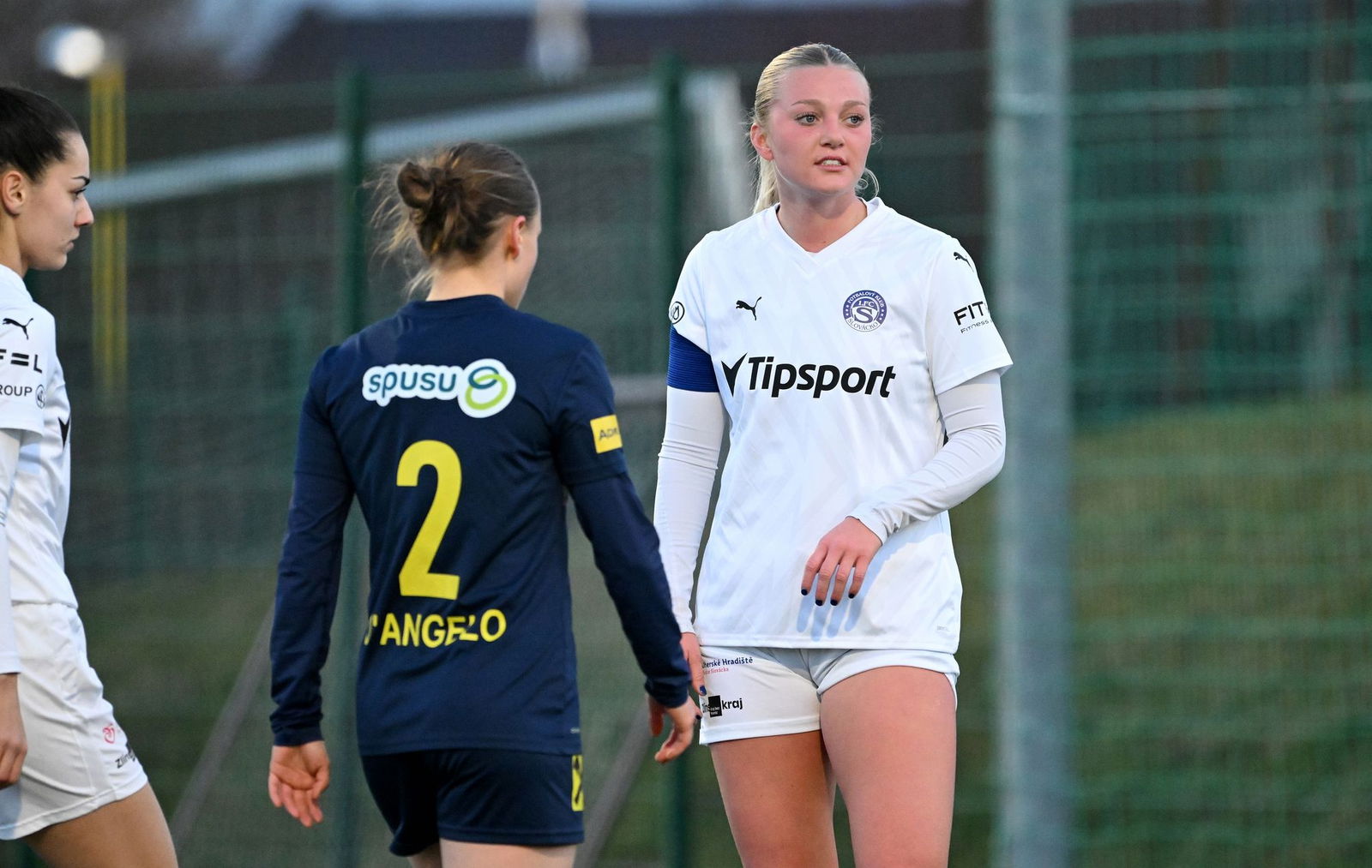 PJml_20250201_312904_web