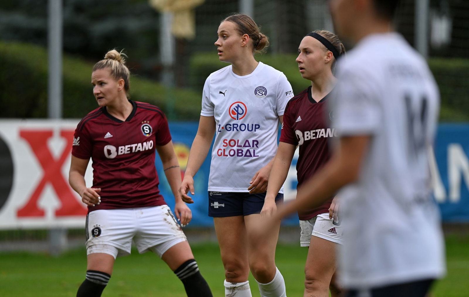 PJml_20231014_234944_web