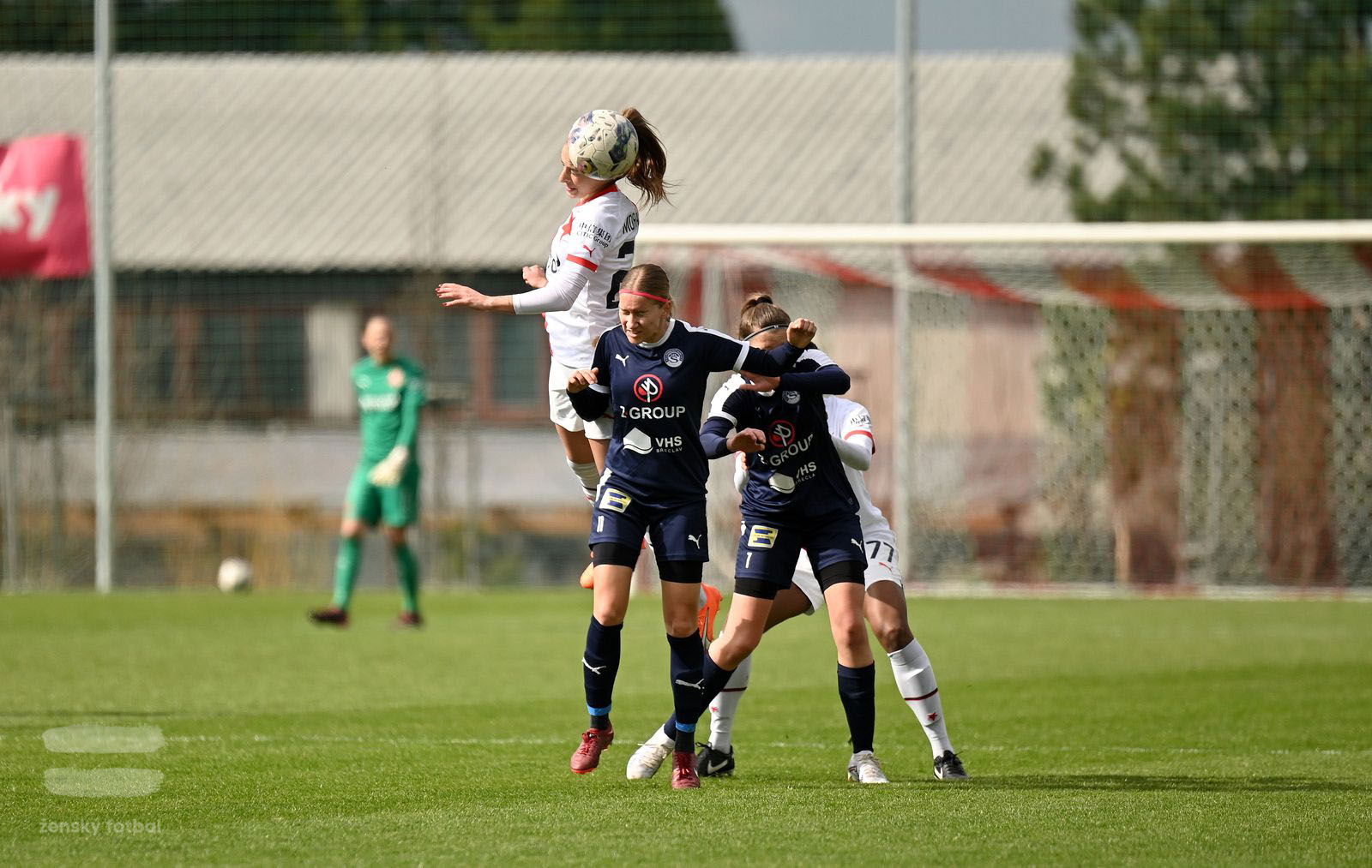 PJml_20230415_115609_web