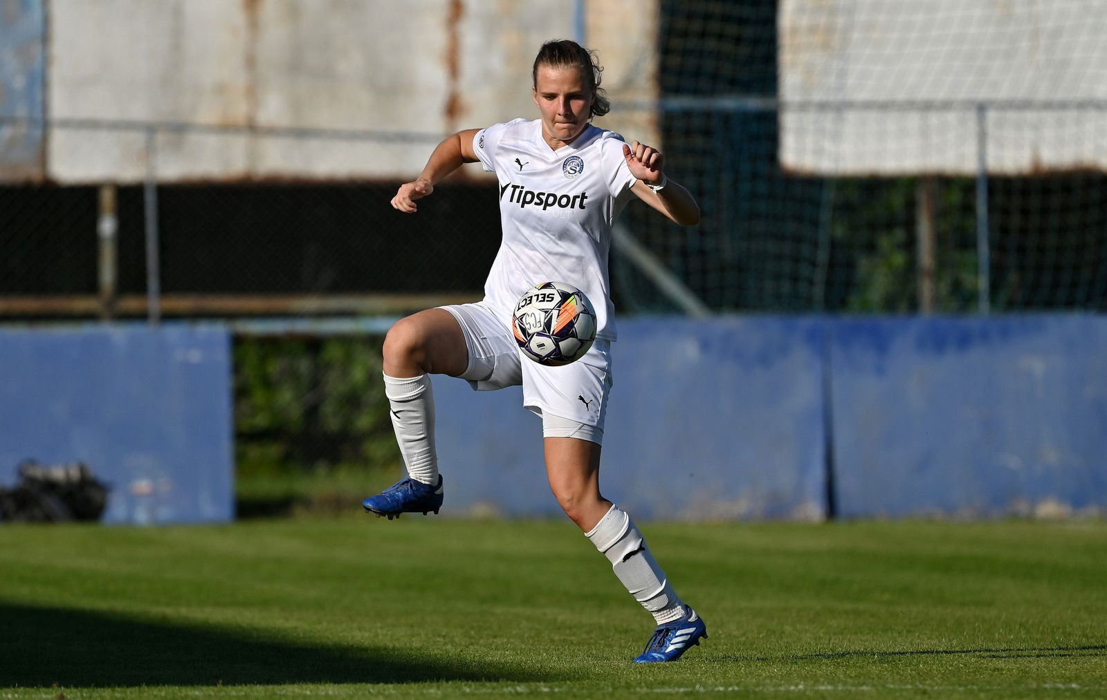 PJml_20240922_296768_web