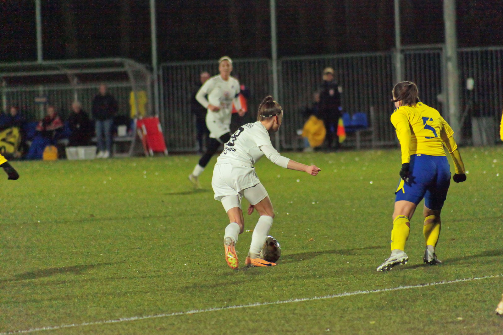 IMG_8485_20231124_zlnslo_2000