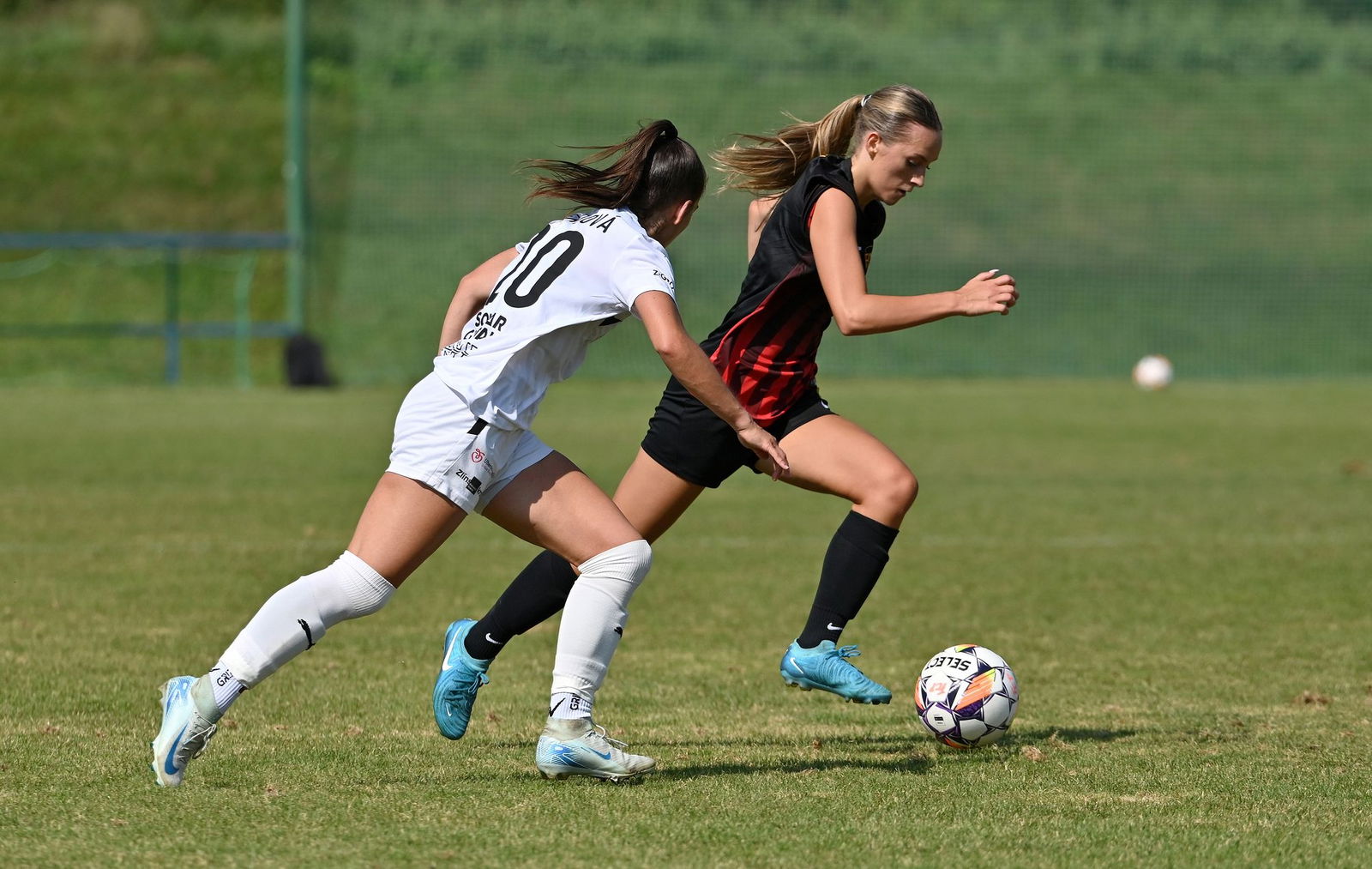 PJml_20240901_296173_web