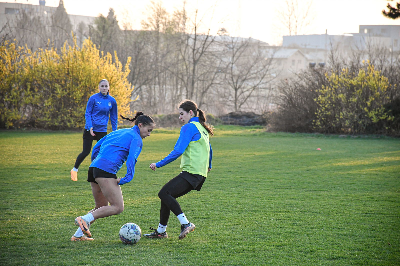 DSC_0454_20240307_pred_jarem_1920