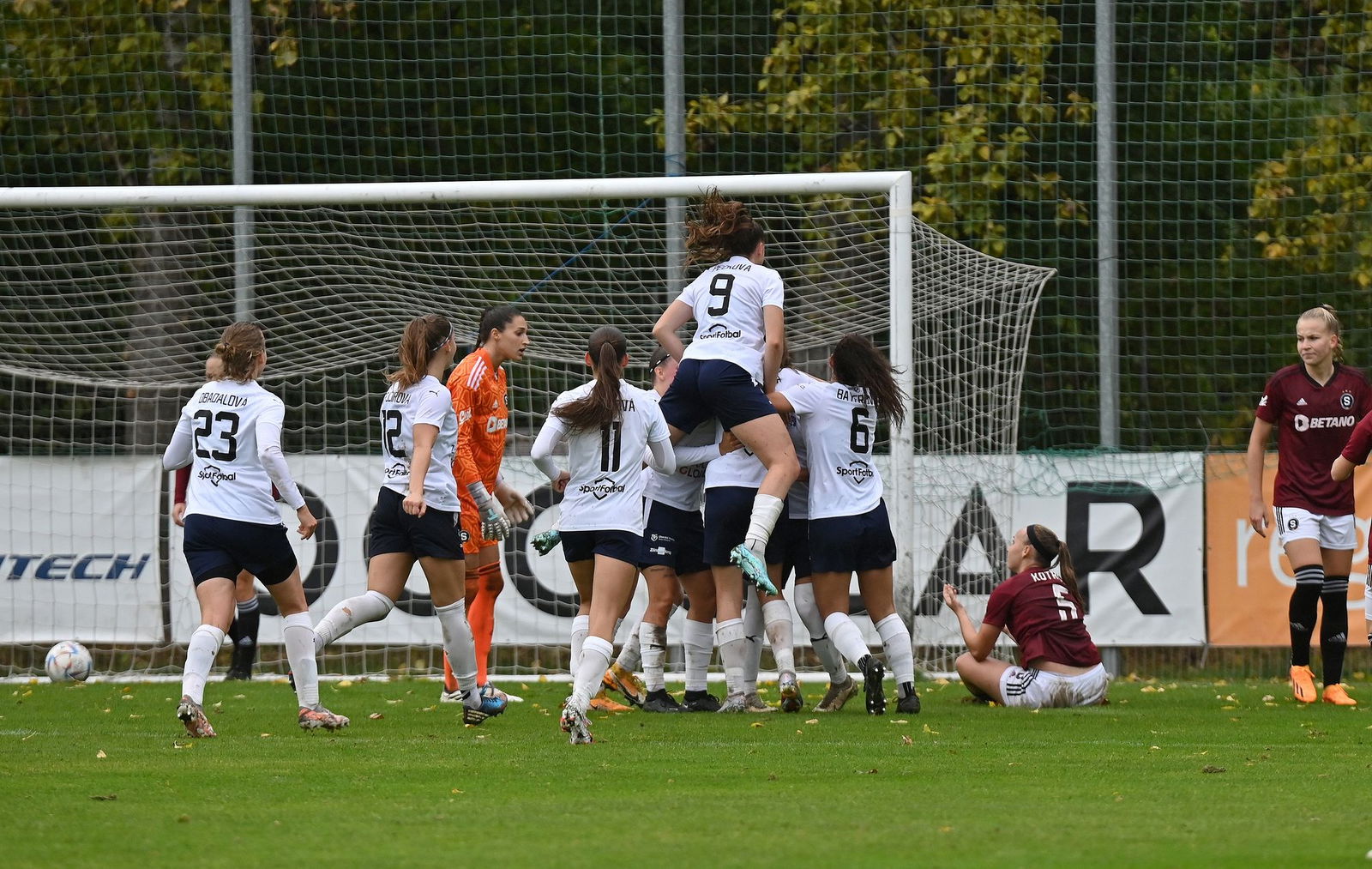 PJml_20231014_234840_web