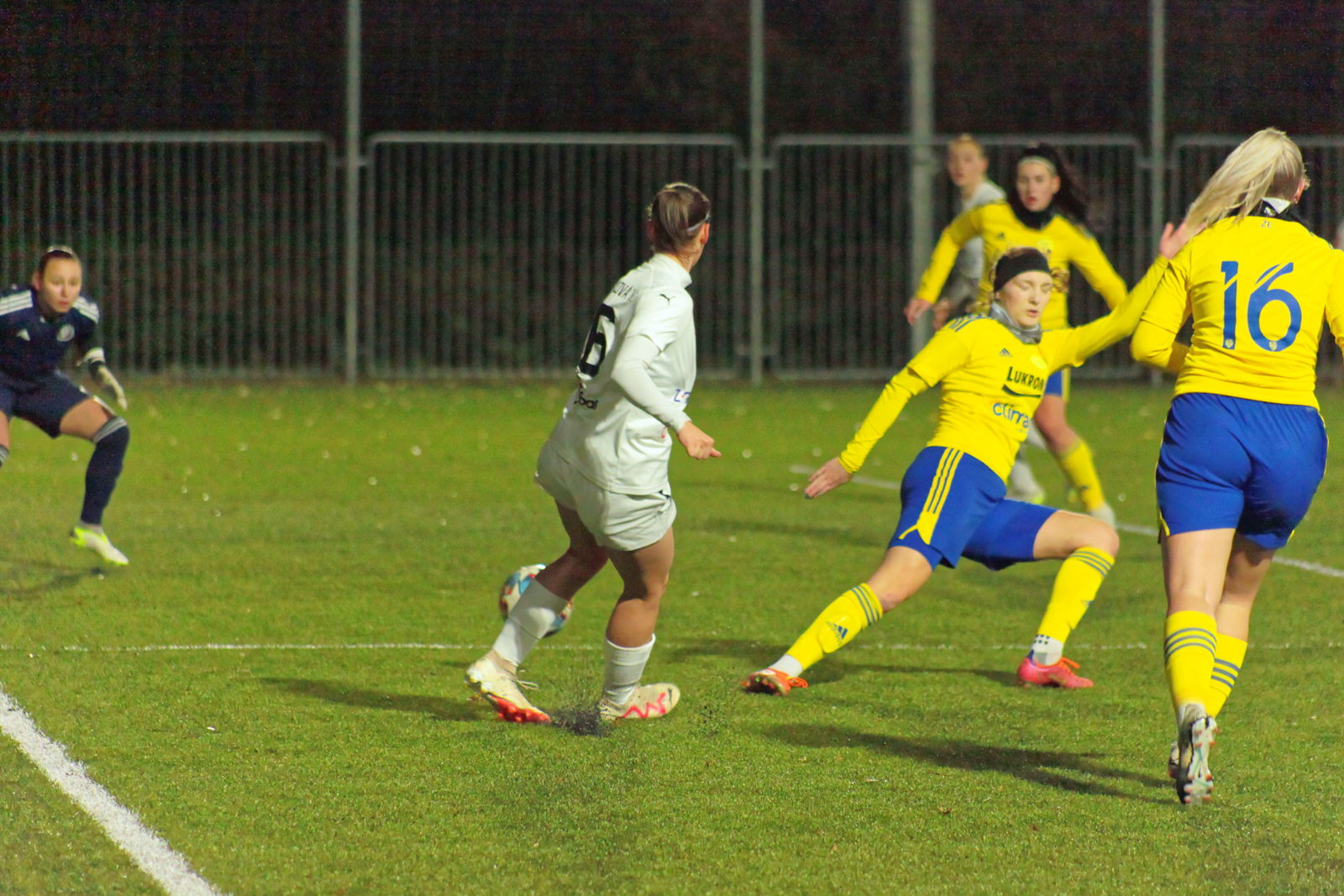 IMG_8360_20231124_zlnslo_2000