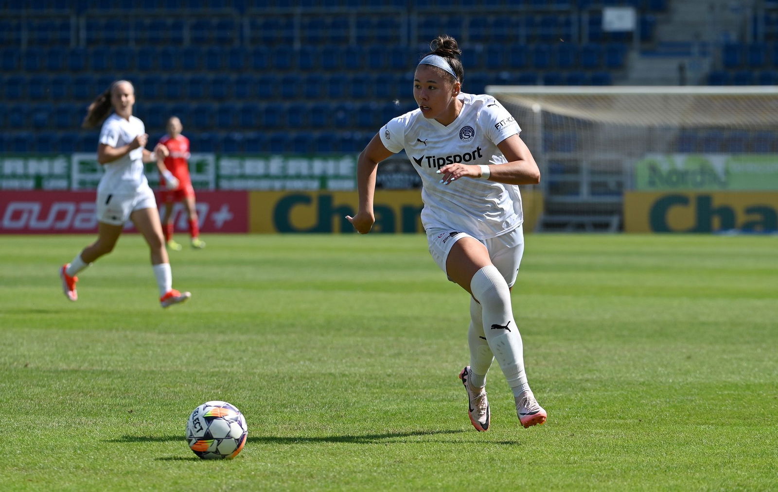 PJml_20240825_295225_web