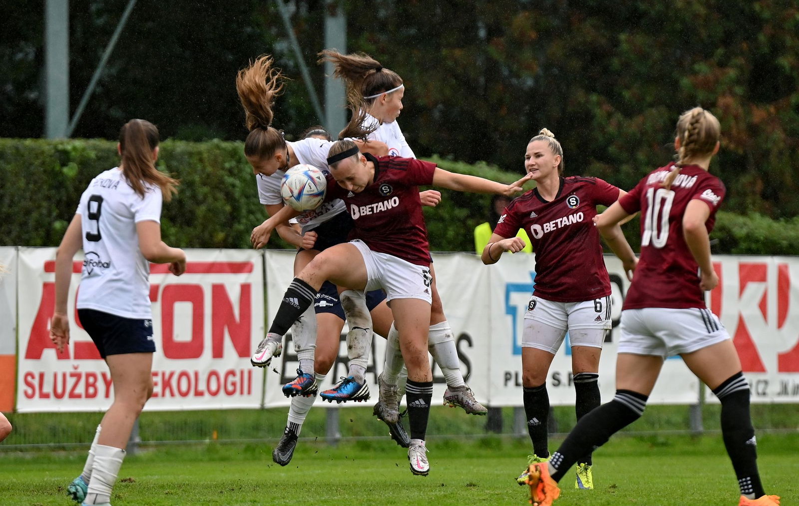 PJml_20231014_234851_web