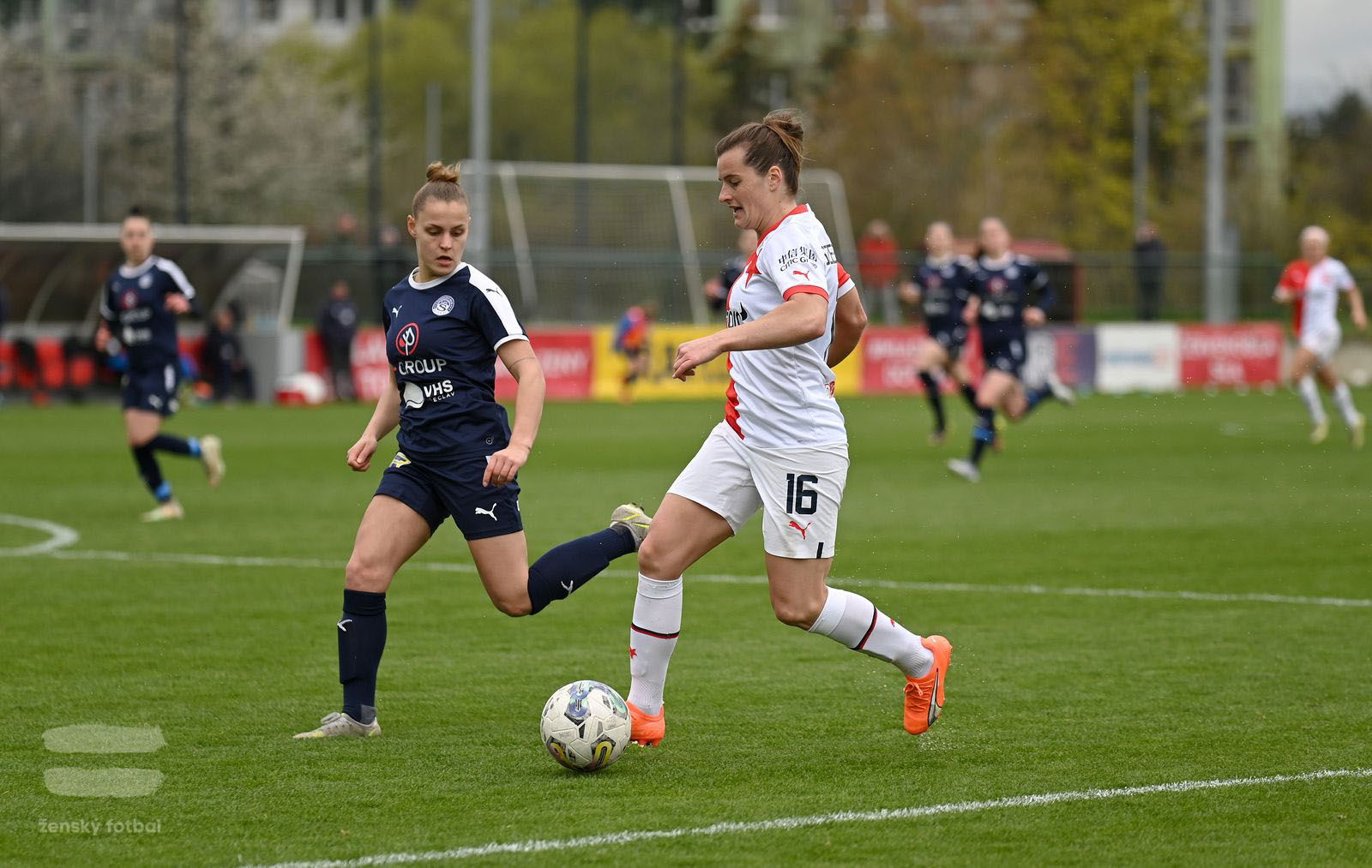 PJml_20230415_115352_web