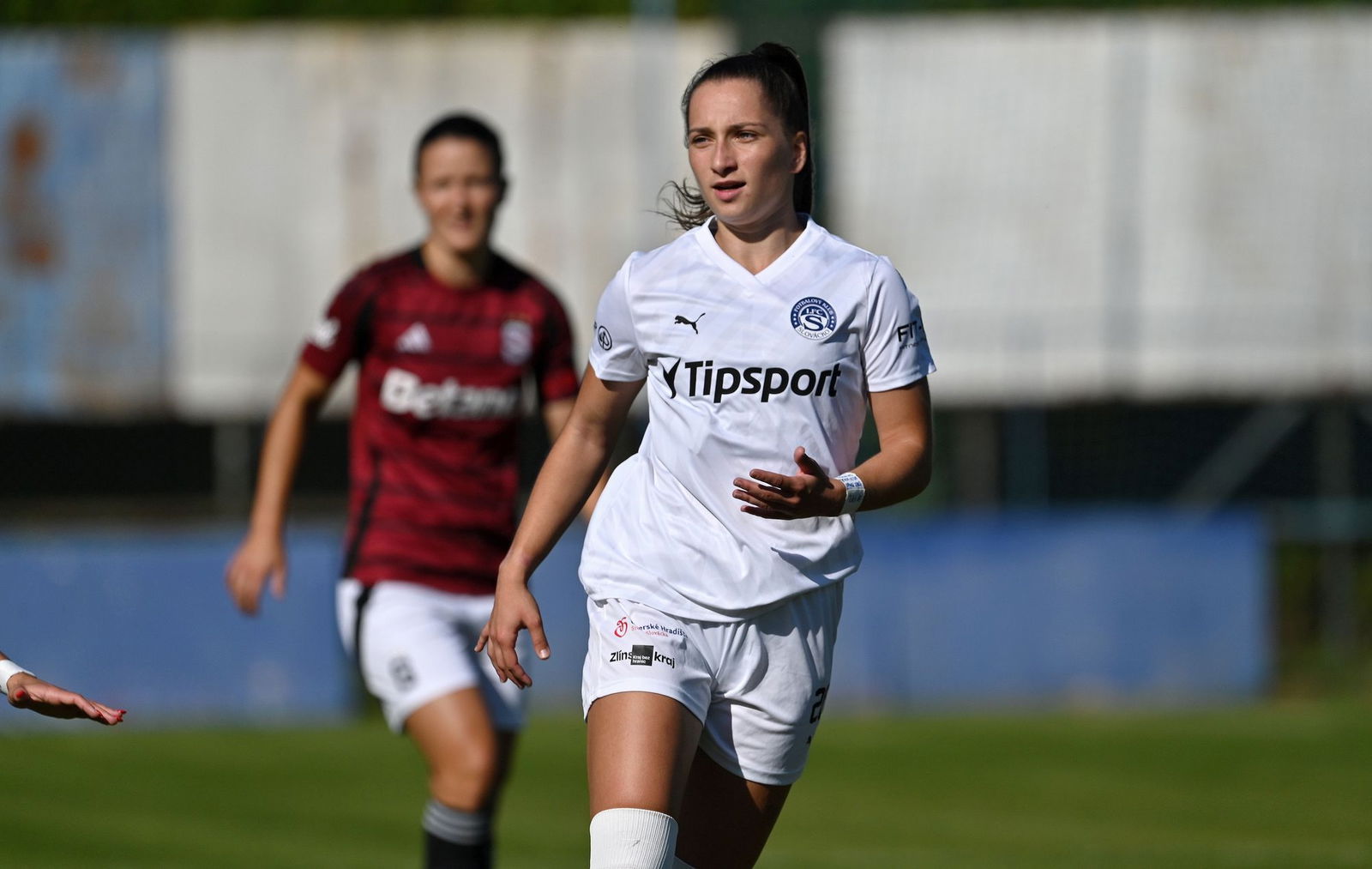 PJml_20240922_296716_web