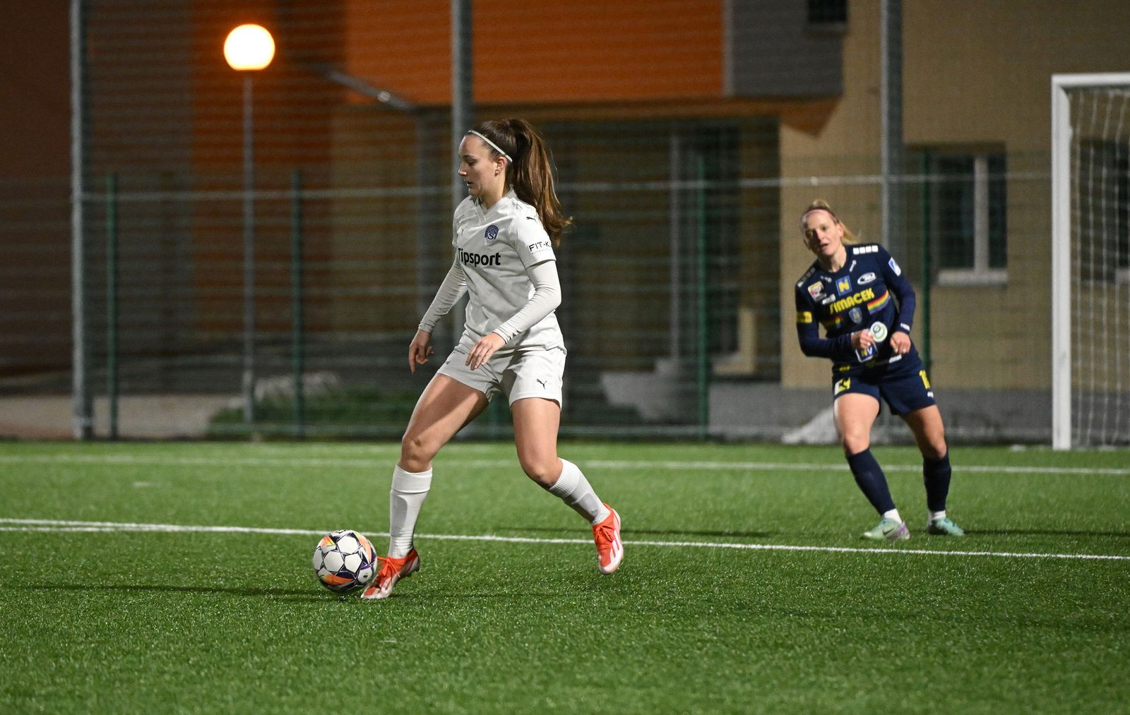 PJml_20250201_313062_web