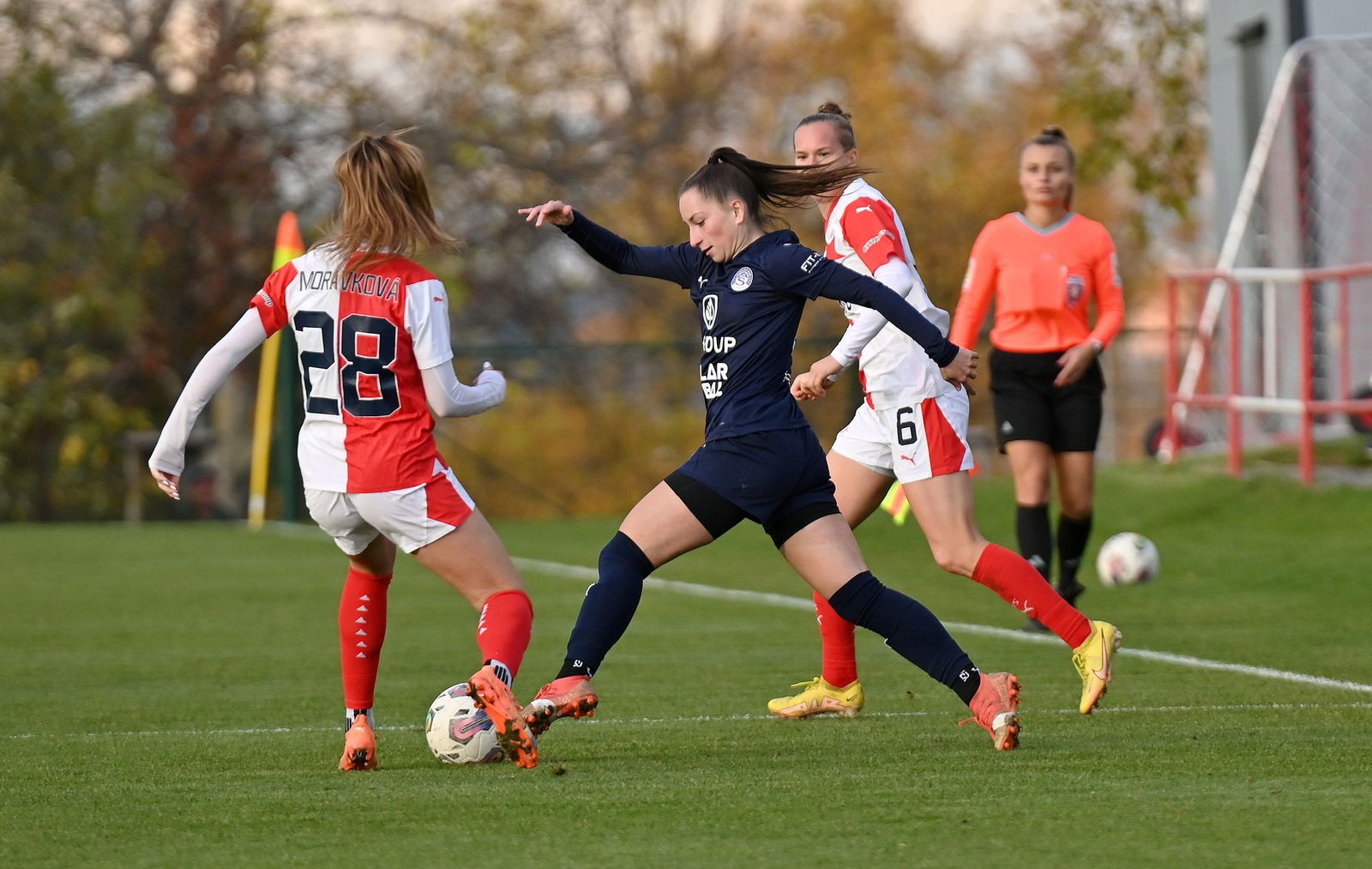 PJml_20231110_244621_web