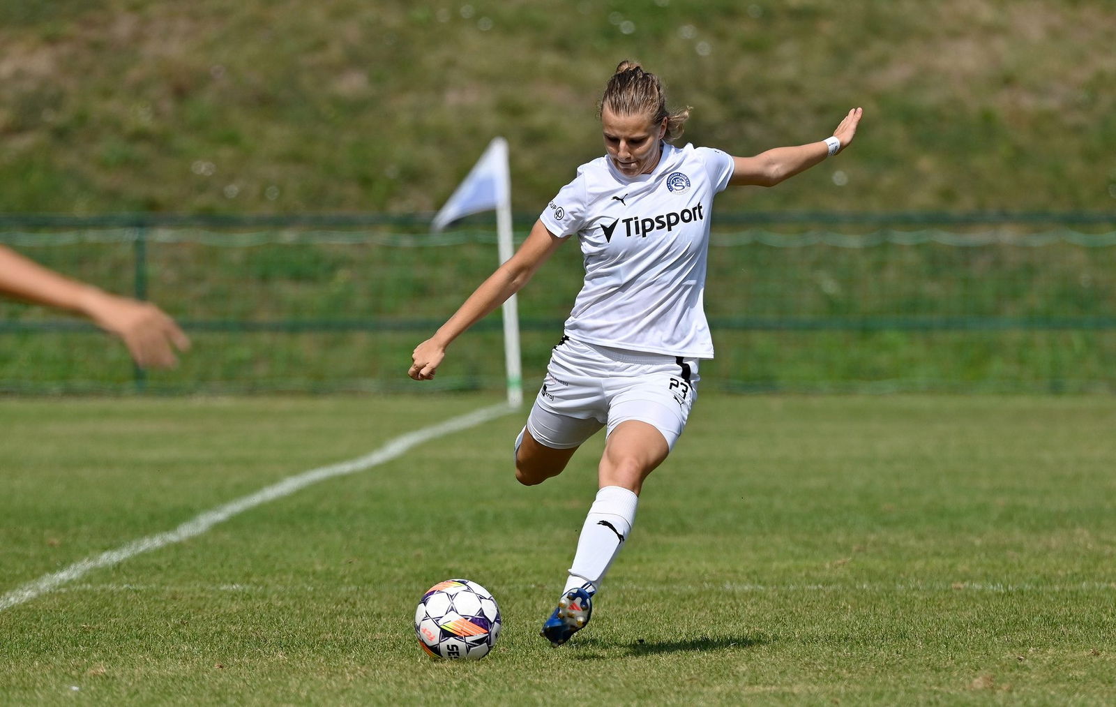 PJml_20240901_296002_web