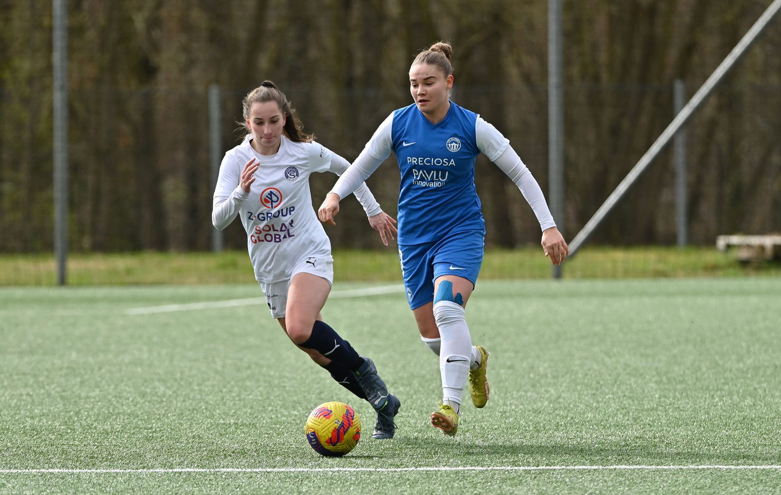 PJml_20240323_274407_web