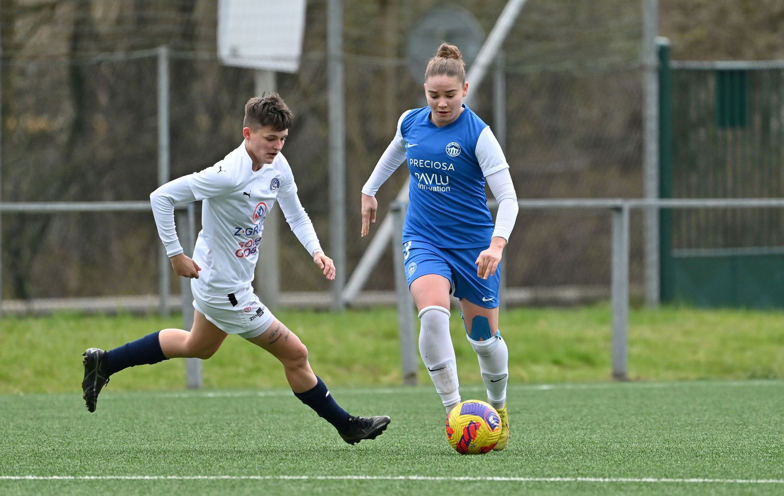 PJml_20240323_274536_web