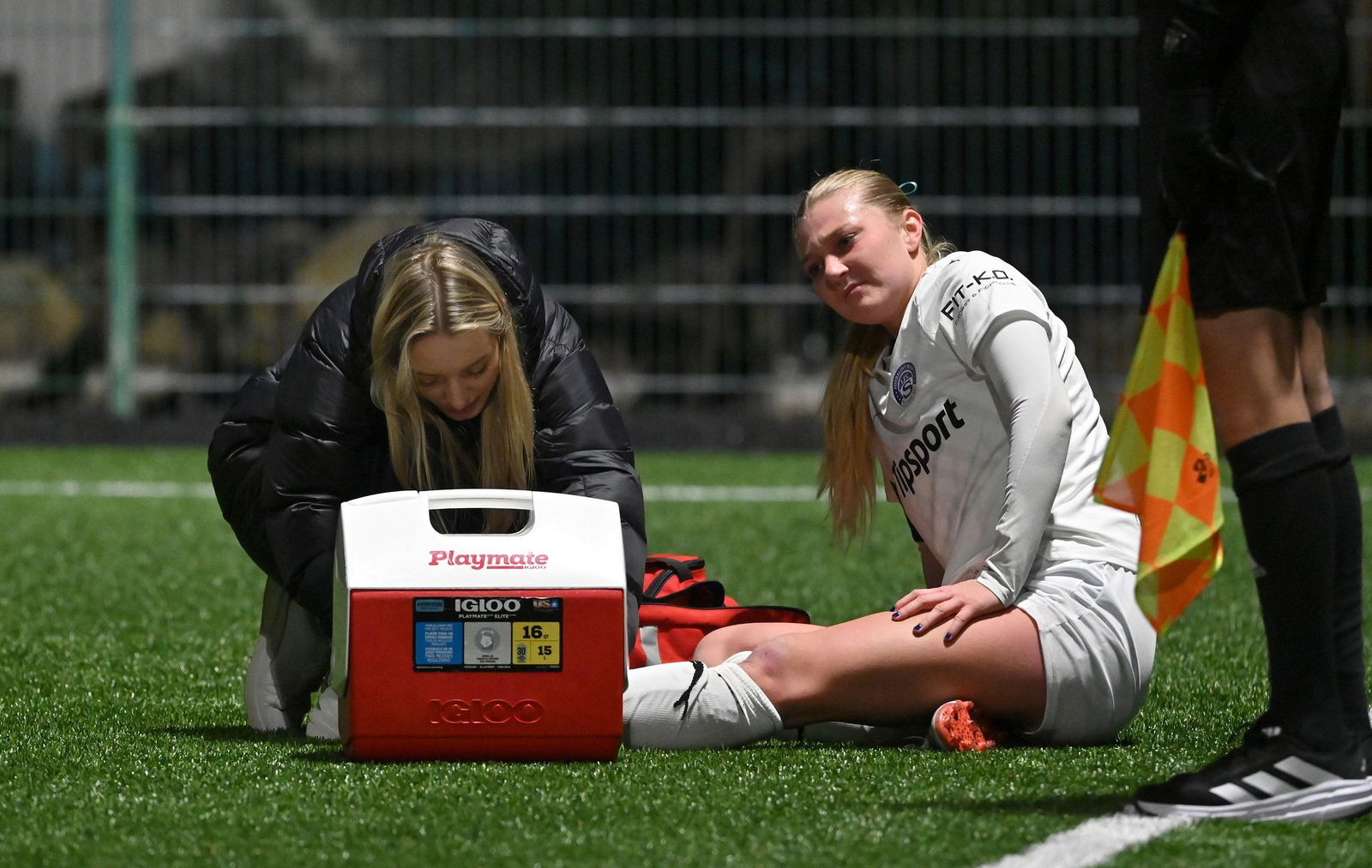 PJml_20250201_313106_web