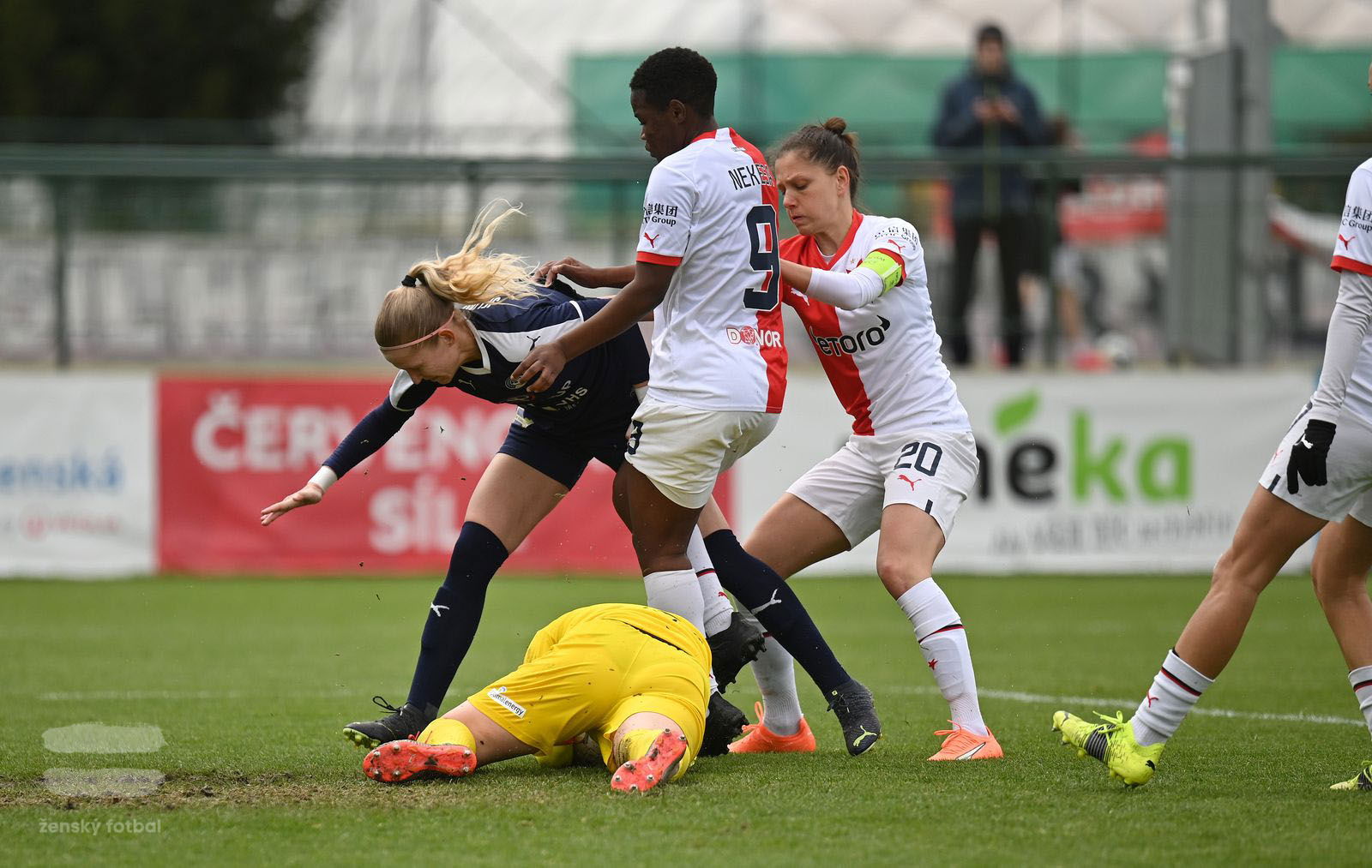 PJml_20230415_115414_web