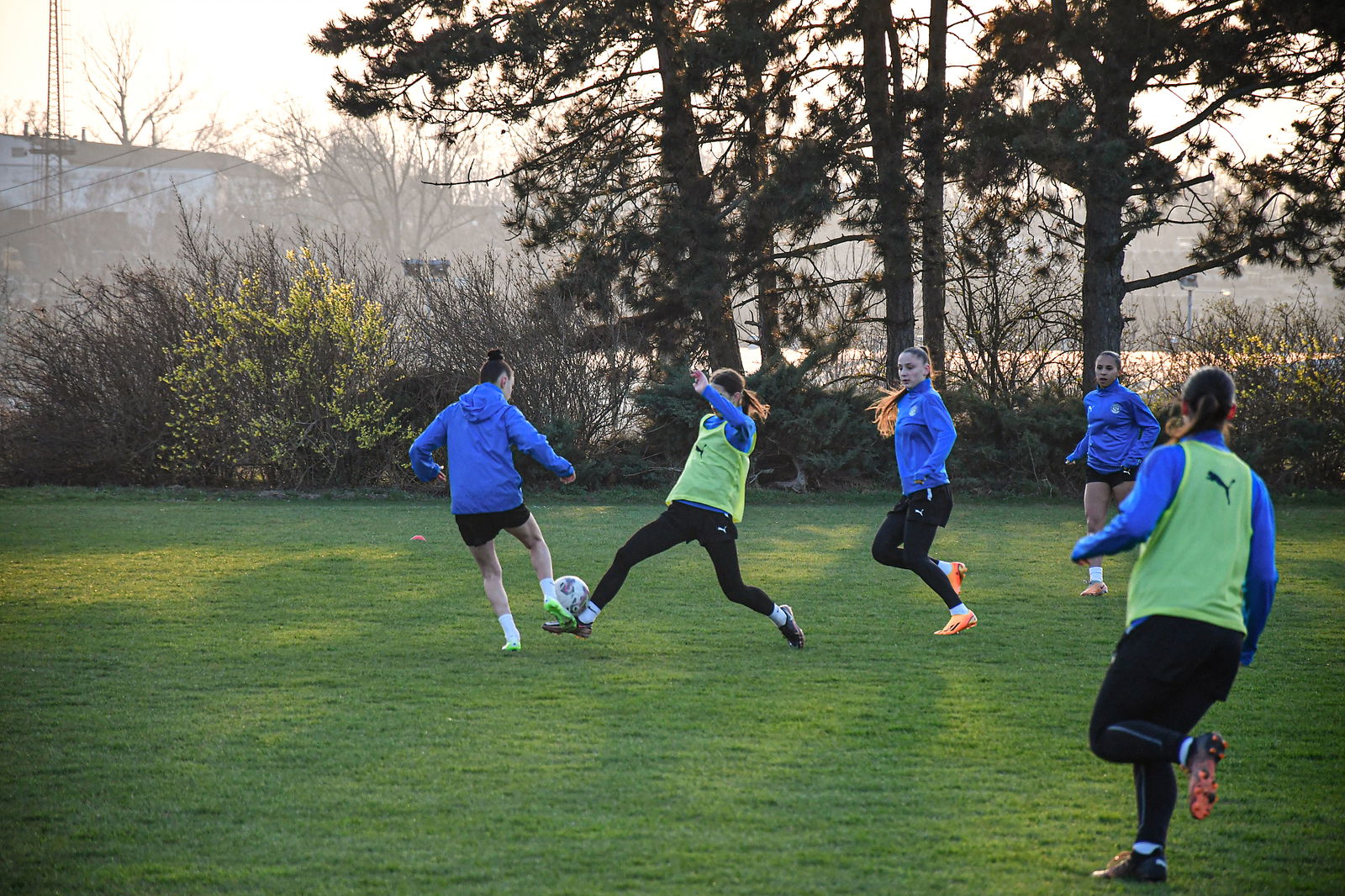 DSC_0433_20240307_pred_jarem_1920