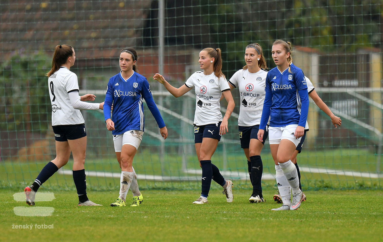 PJml_20221029_026880