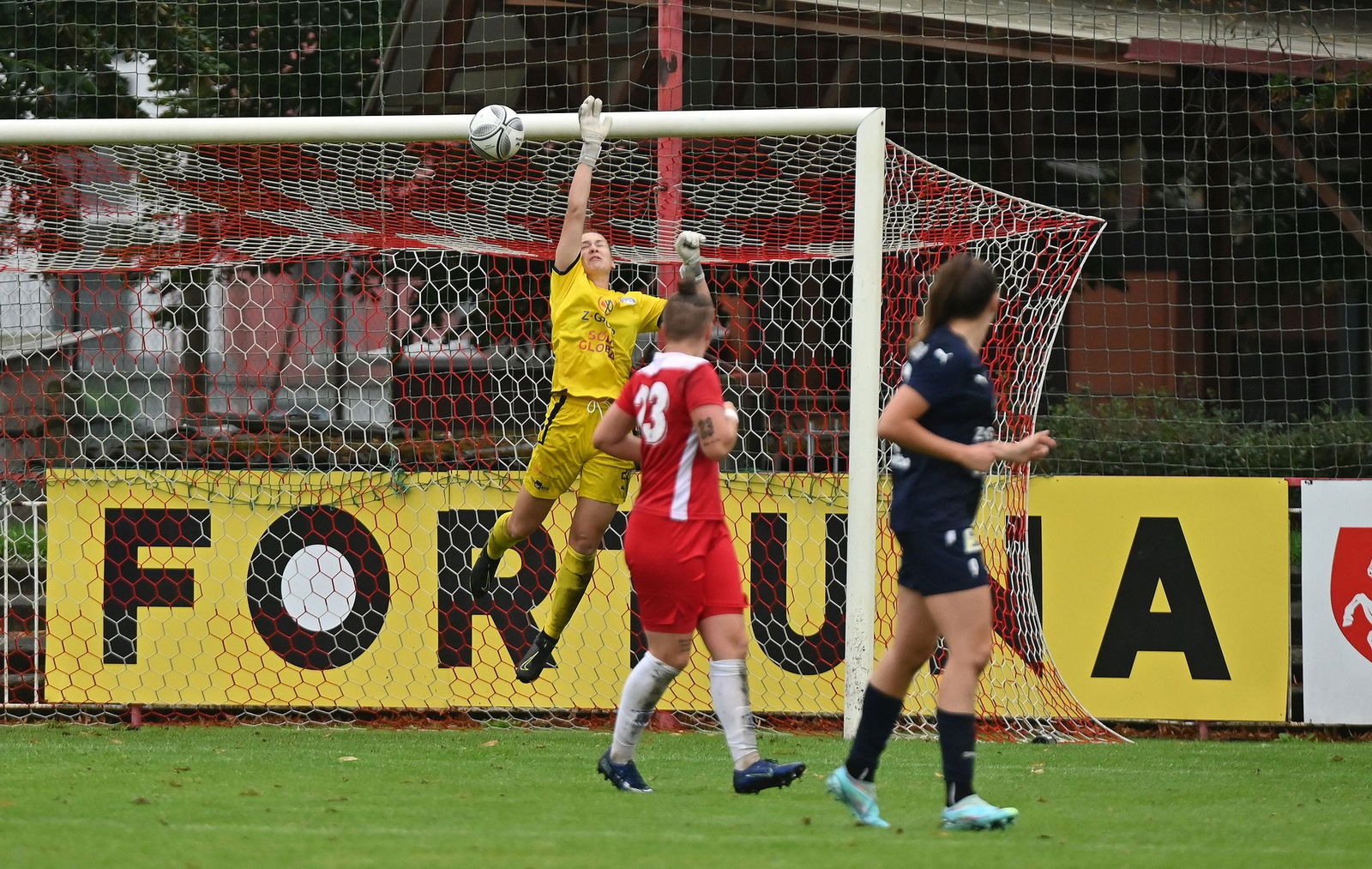 PJml_20230827_205621_web