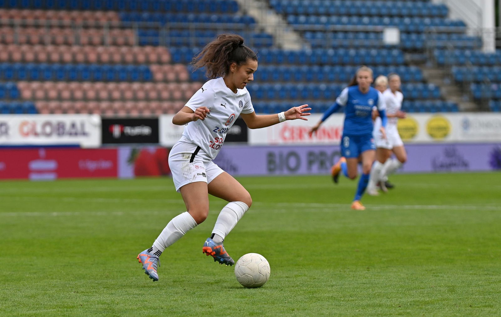 PJml_20231008_230896_web