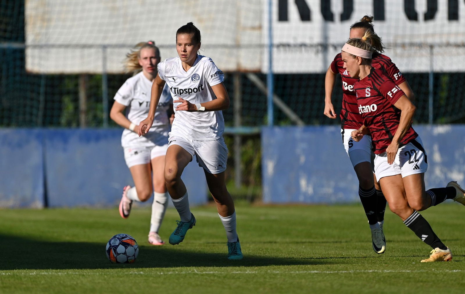 PJml_20240922_296779_web