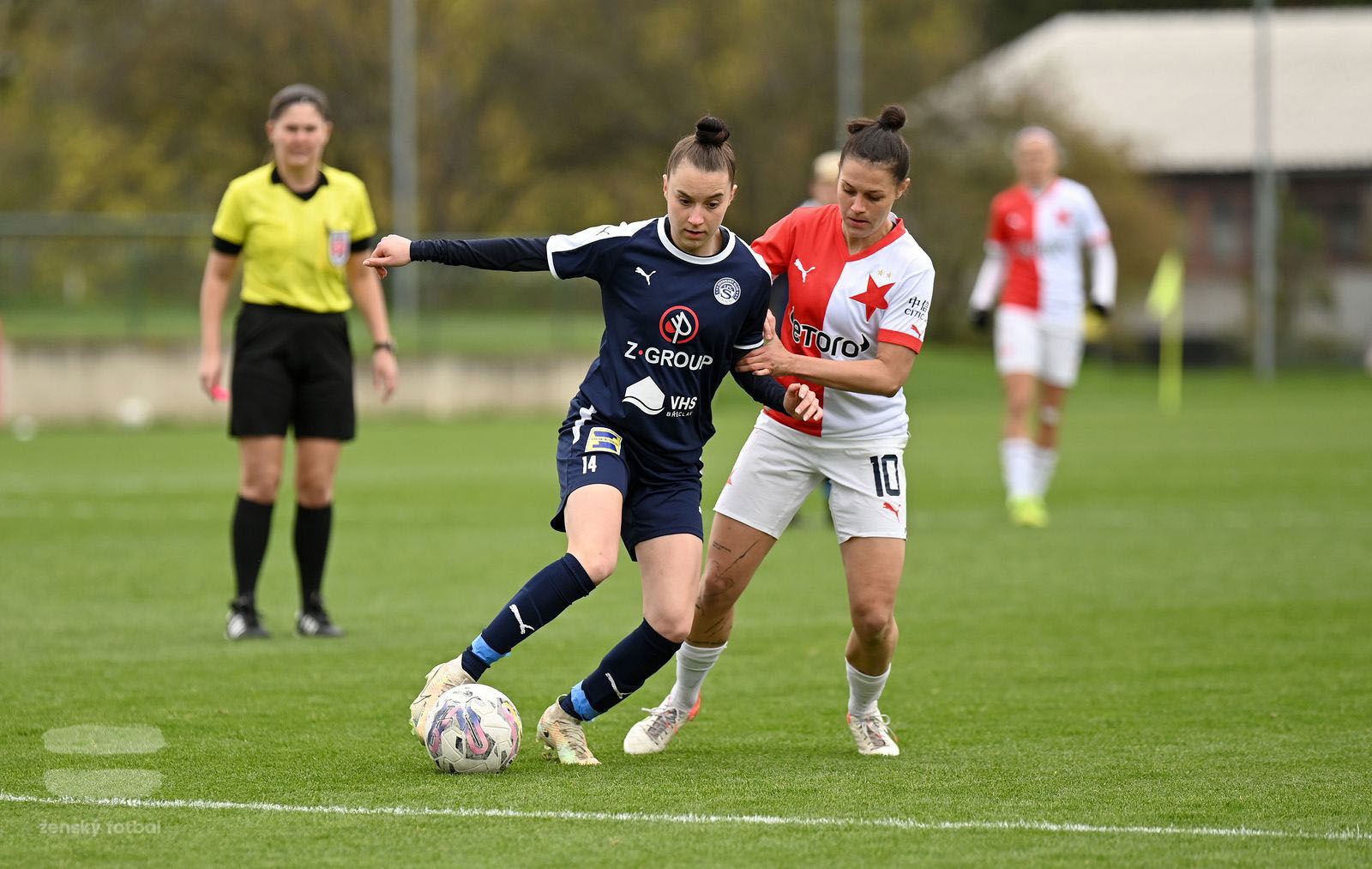 PJml_20230415_115300_web