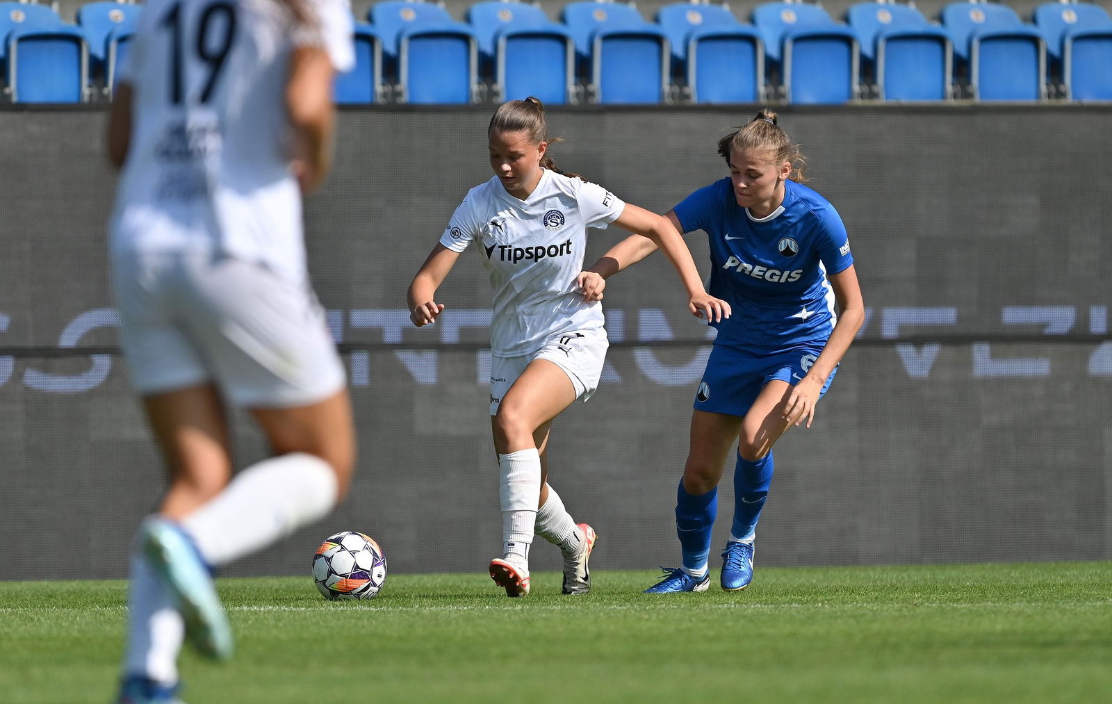 PJml_20240825_295329_web