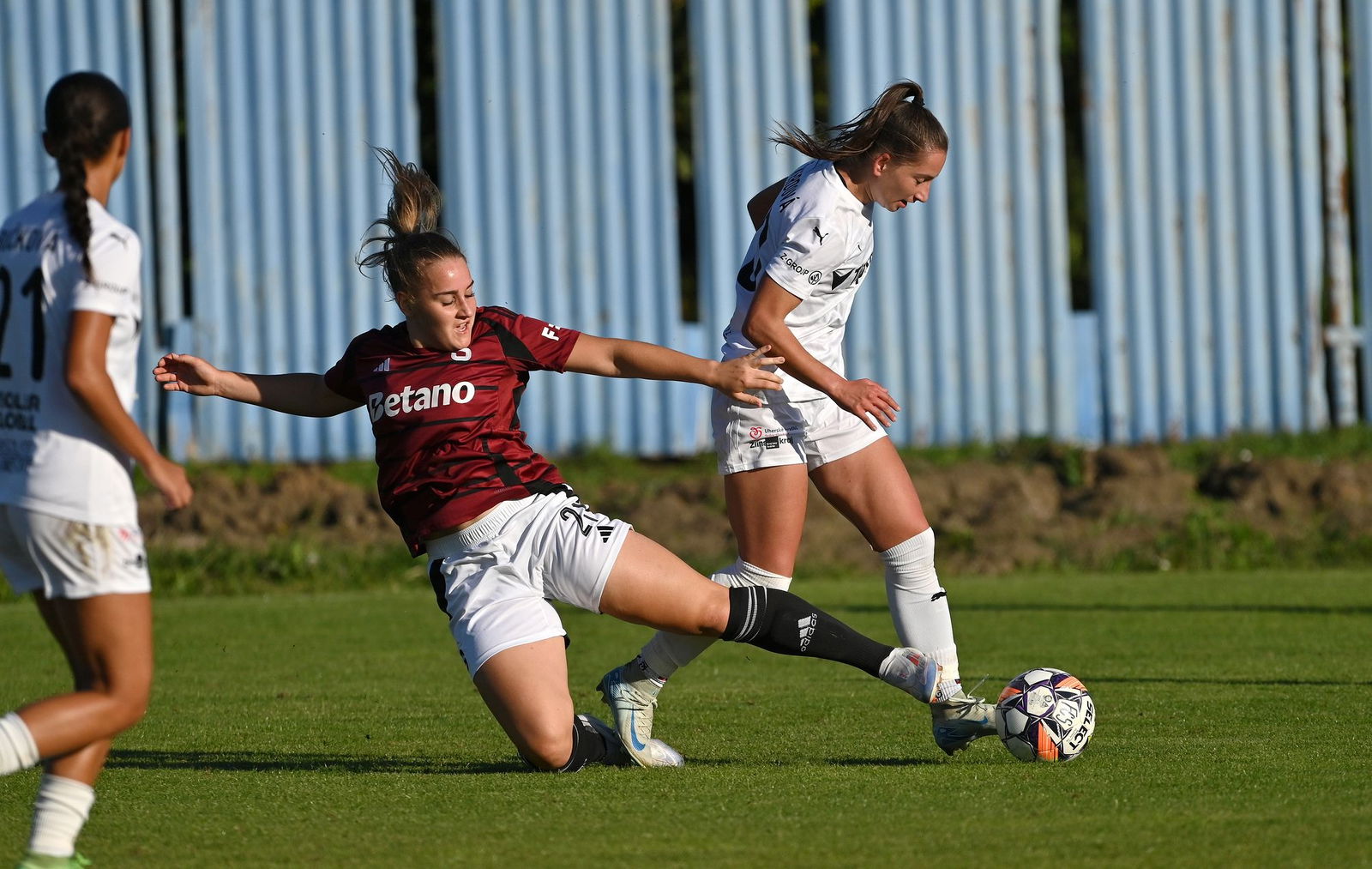 PJml_20240922_296806_web